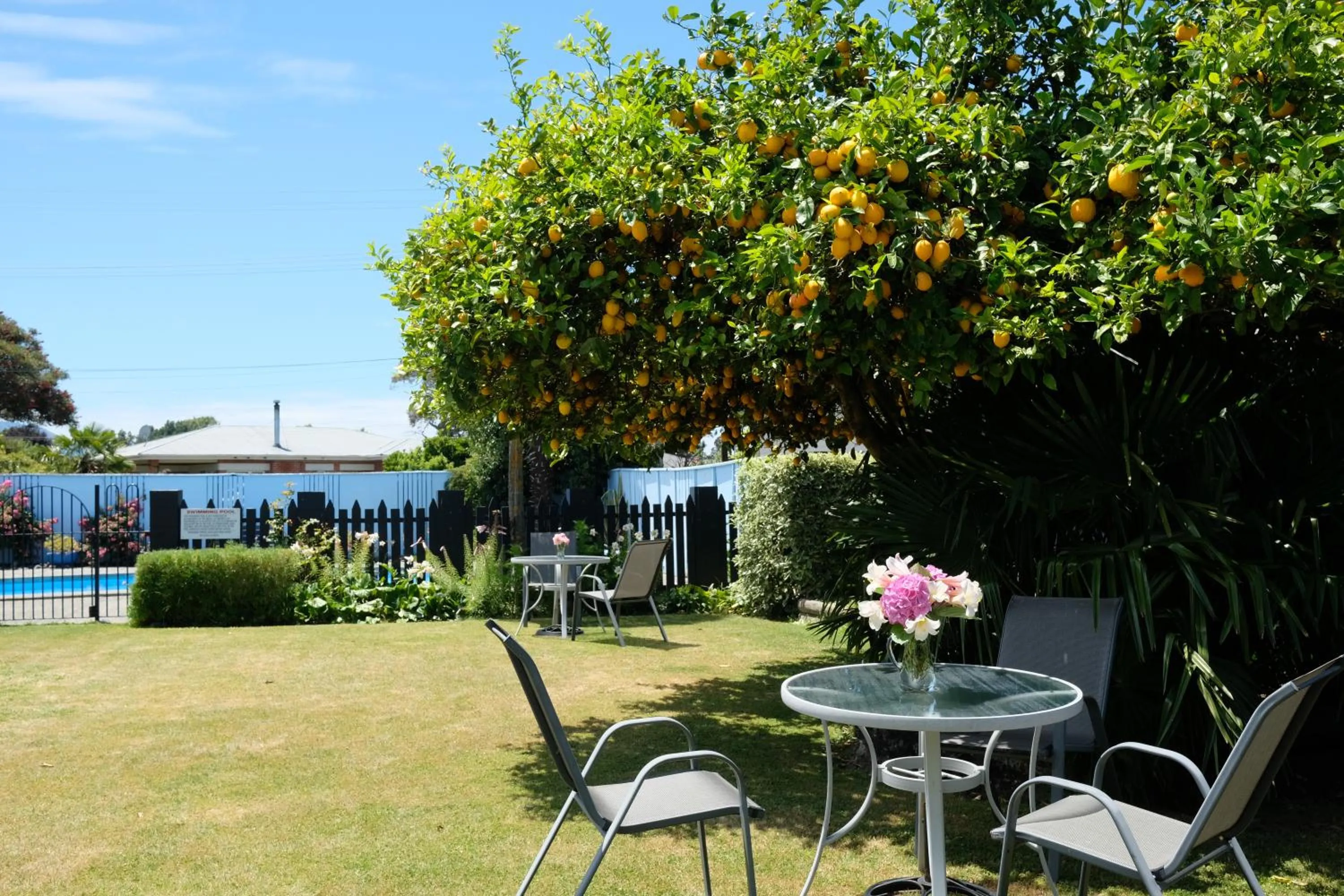 BBQ facilities in Montana Lodge Motel