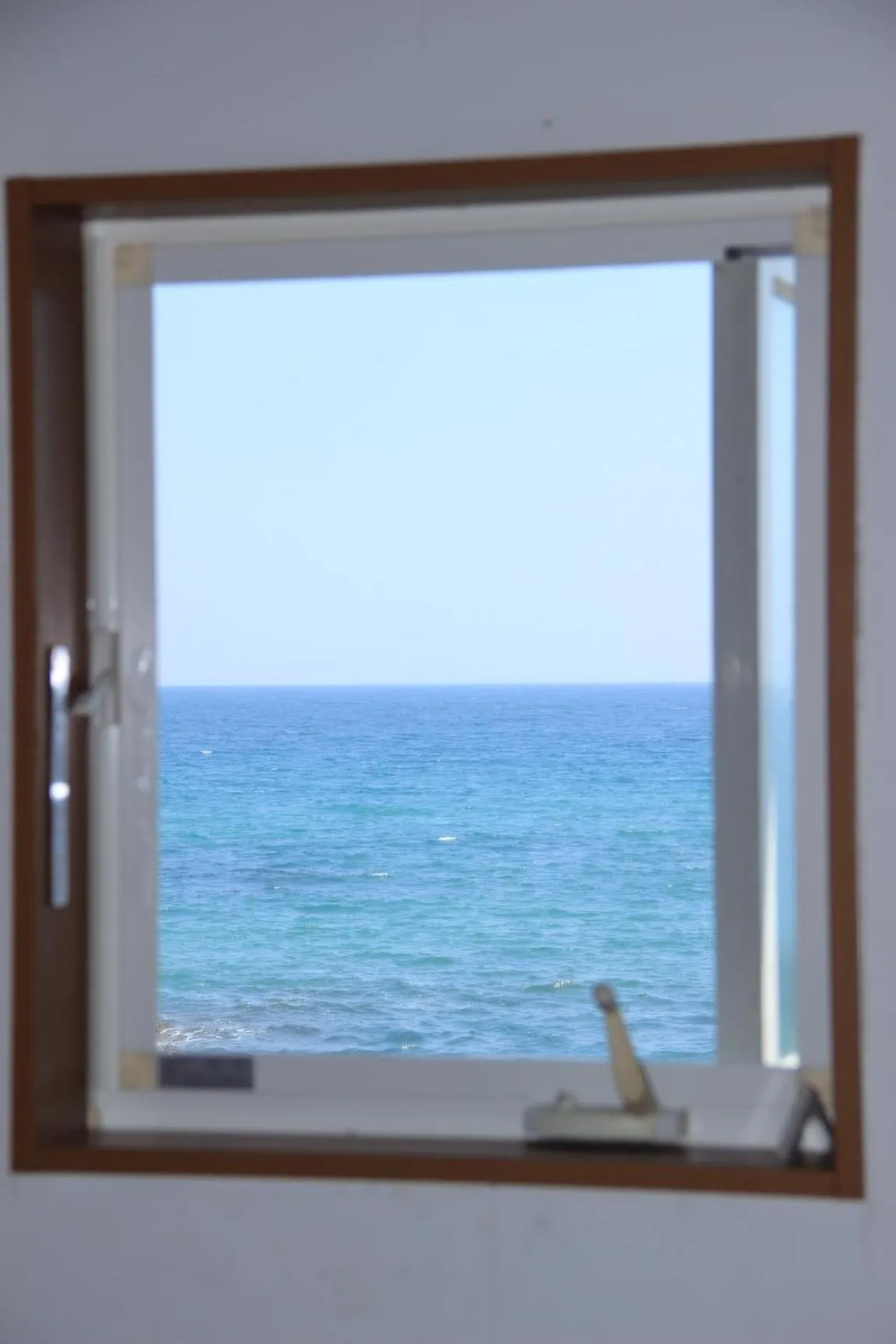 View (from property/room) in PavilionSurf&Lodge