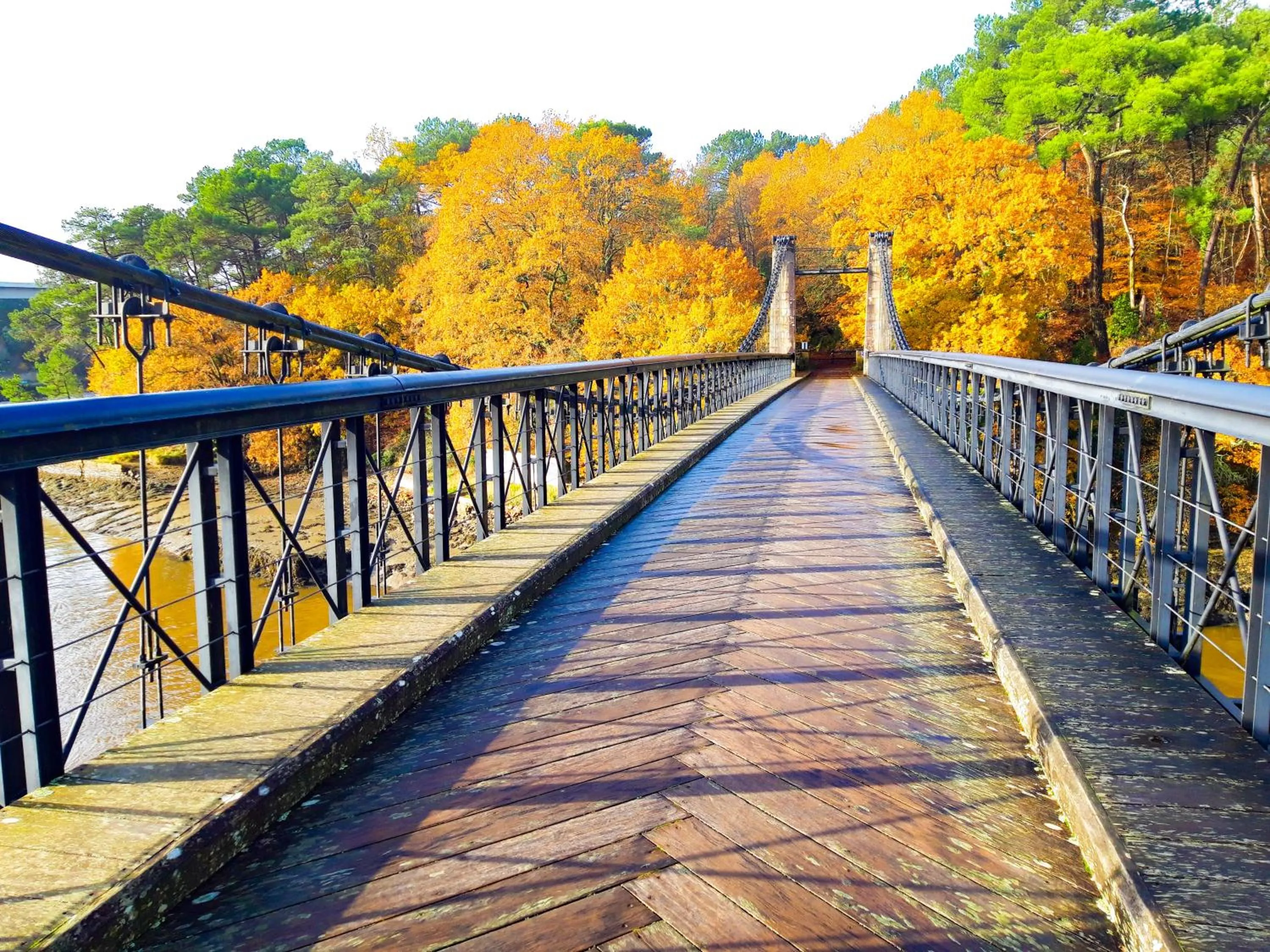 Natural landscape in Hotel Alicia Auray Le Bono