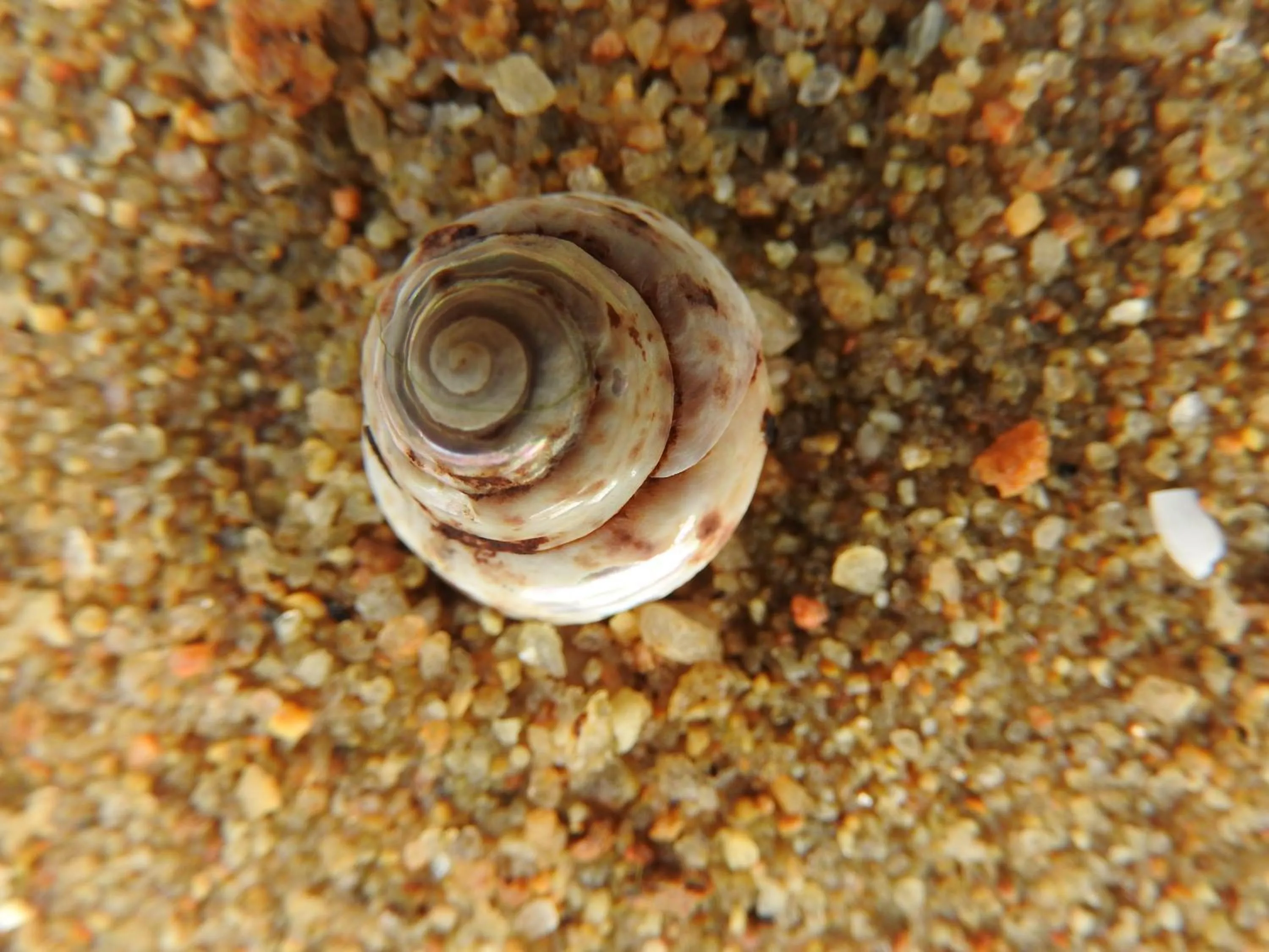 Day in Hotel Alicia Auray Le Bono