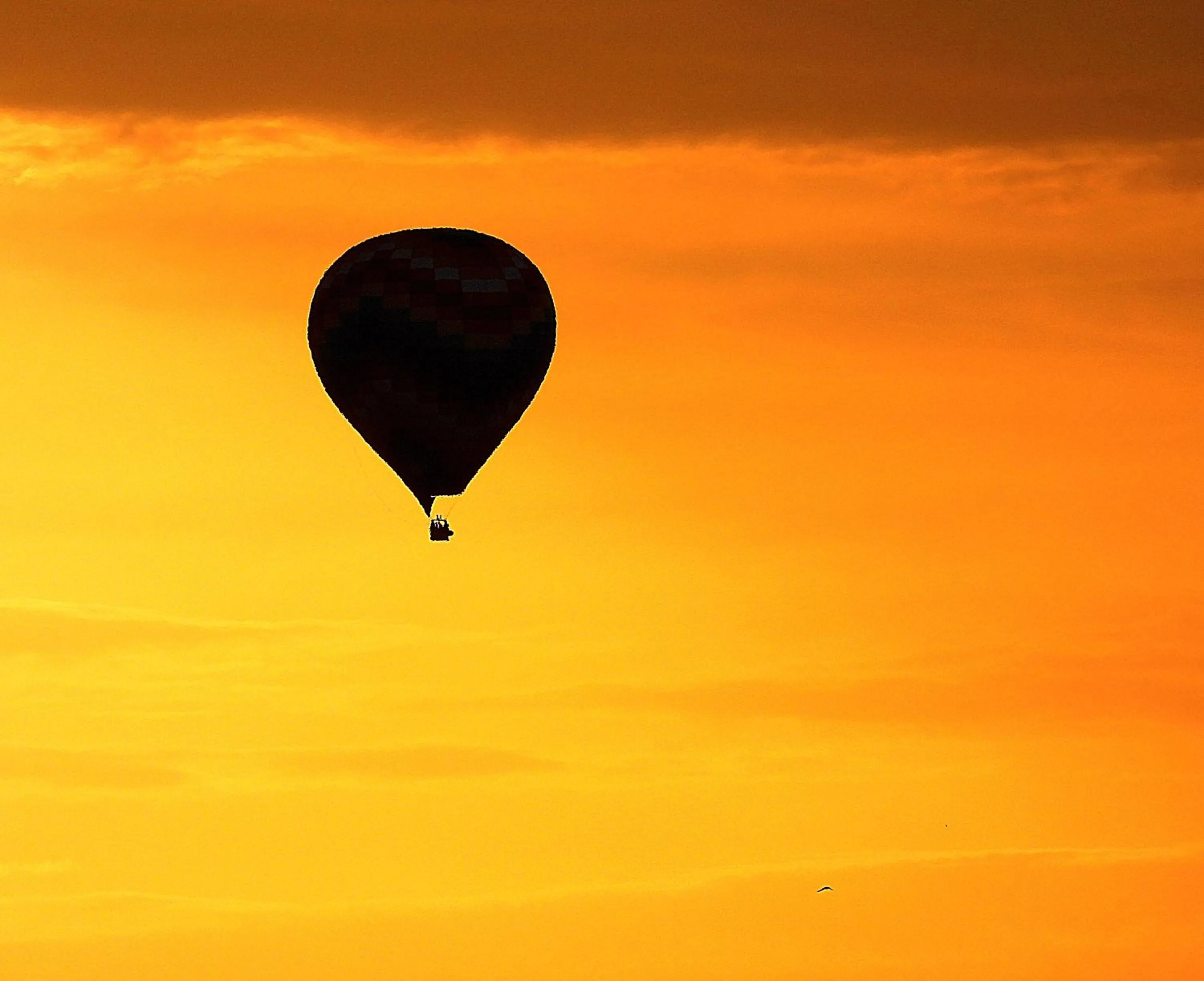 Hotel Alicia Auray Le Bono