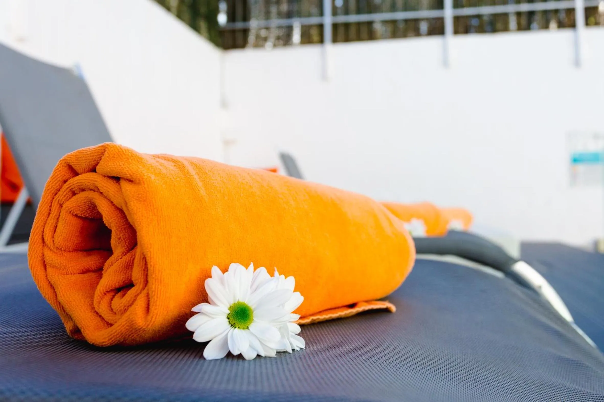 Swimming pool in Atlantic Sun Beach - Gay Men Only