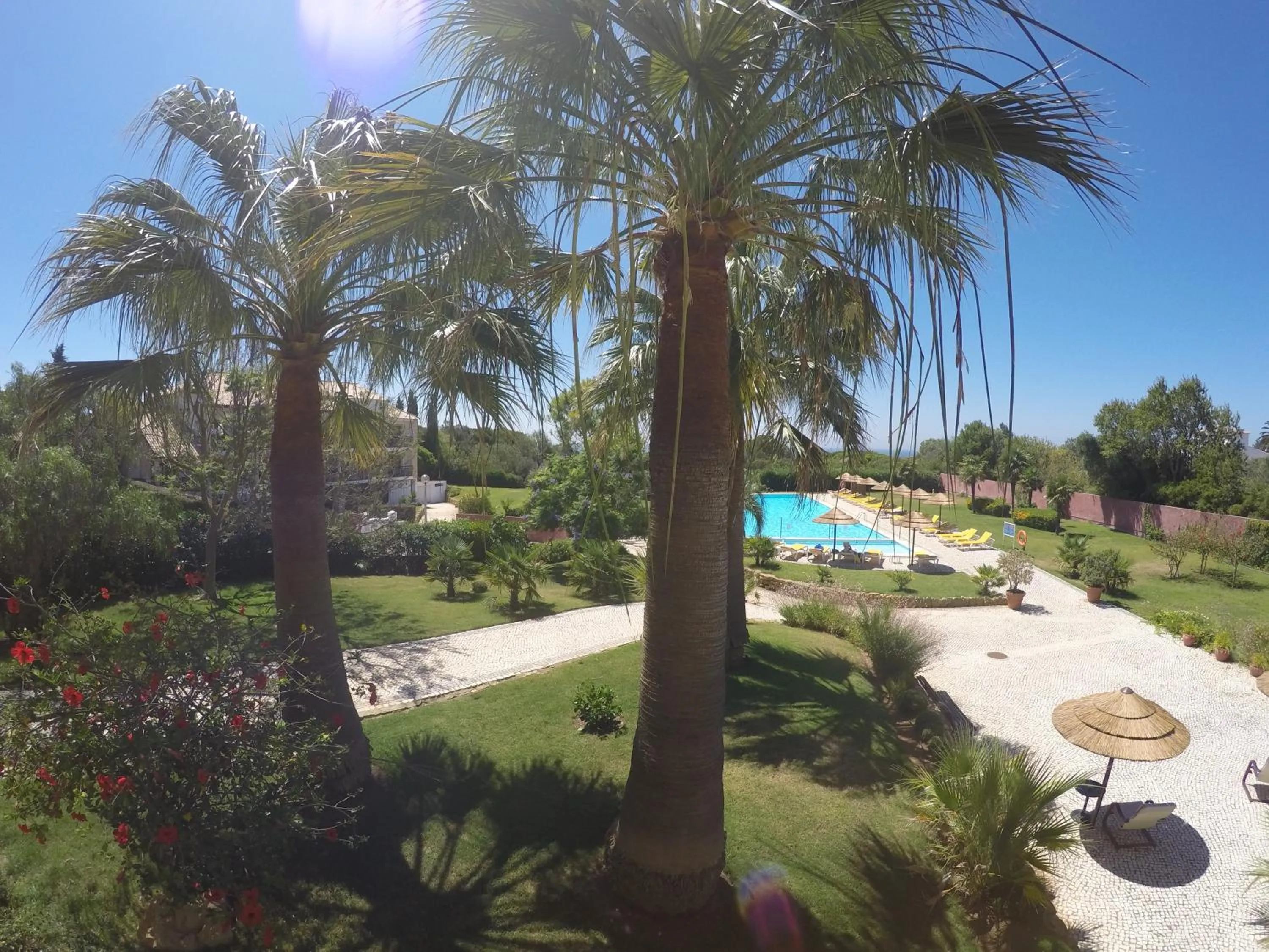 Garden in Luzmar Villas