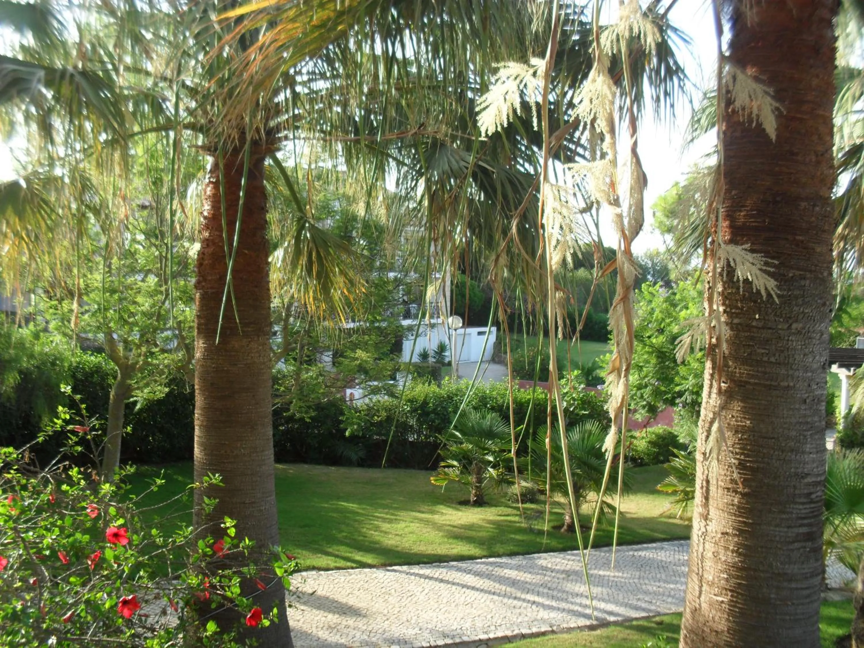 Garden in Luzmar Villas