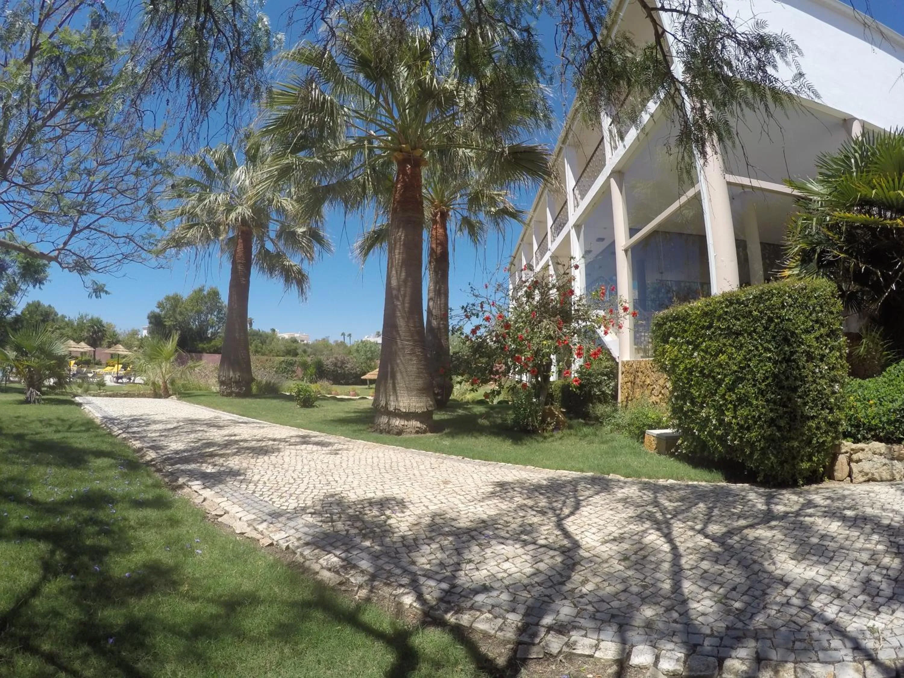 Garden in Luzmar Villas