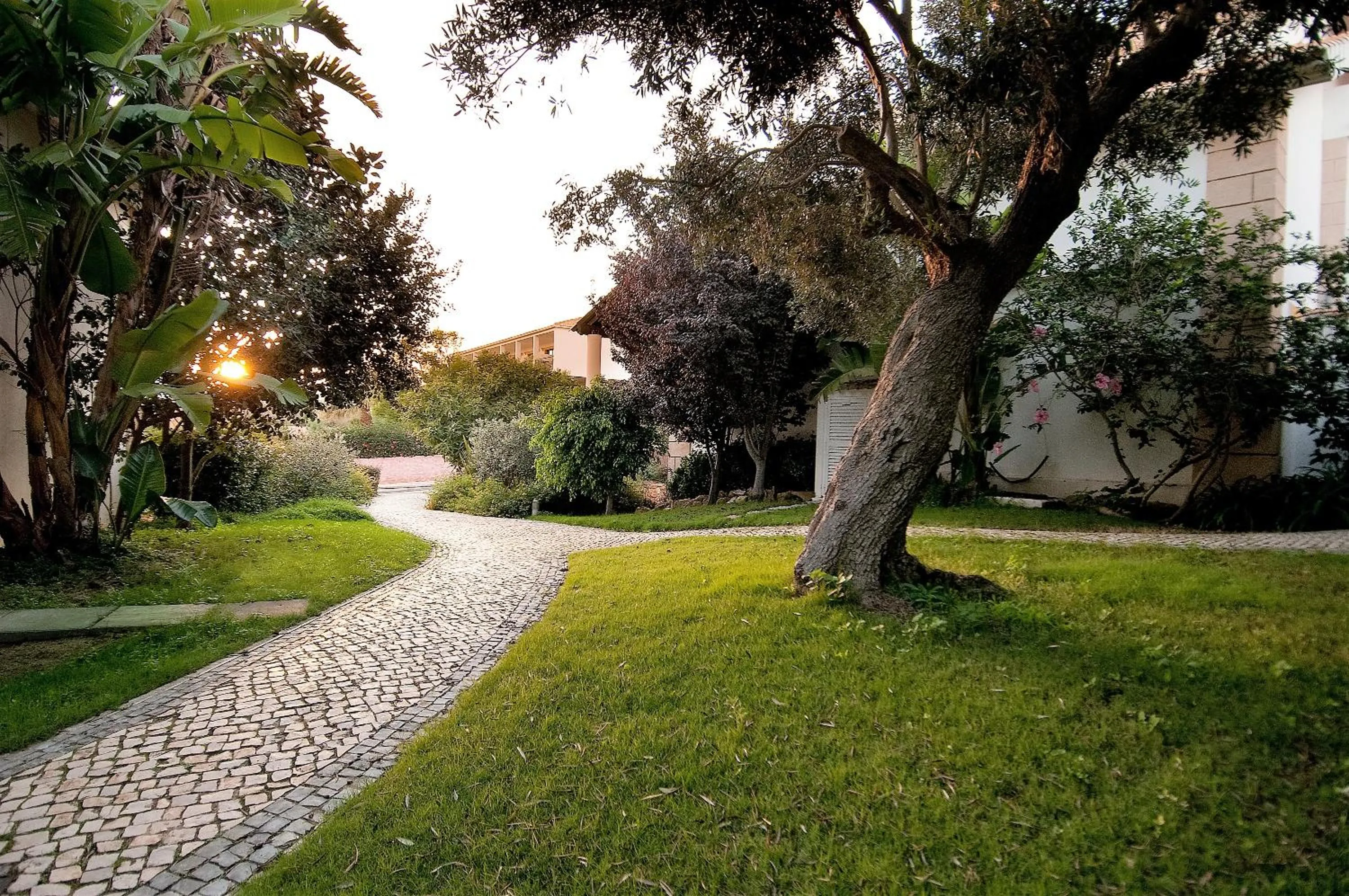 Garden in Luzmar Villas