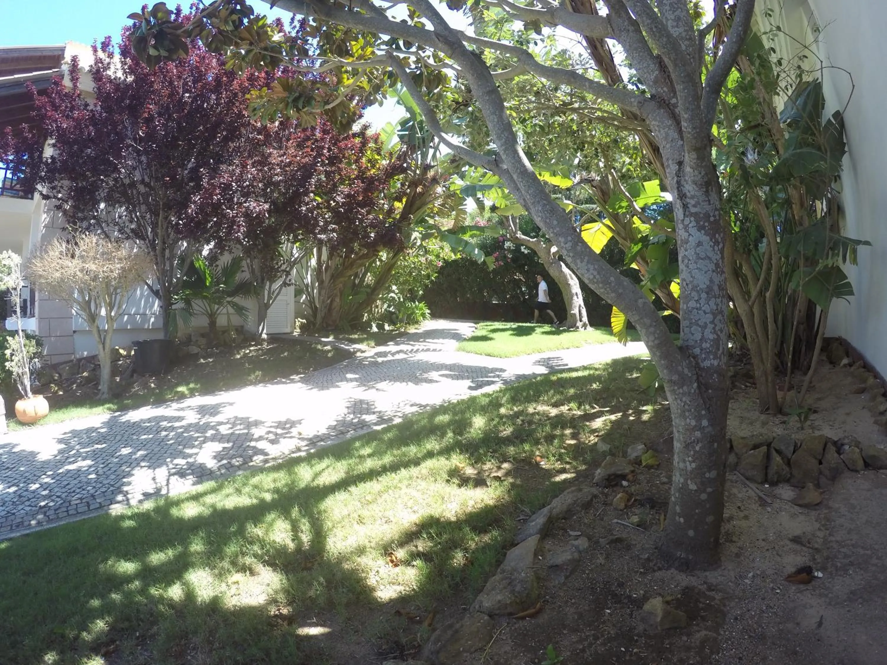 Patio in Luzmar Villas