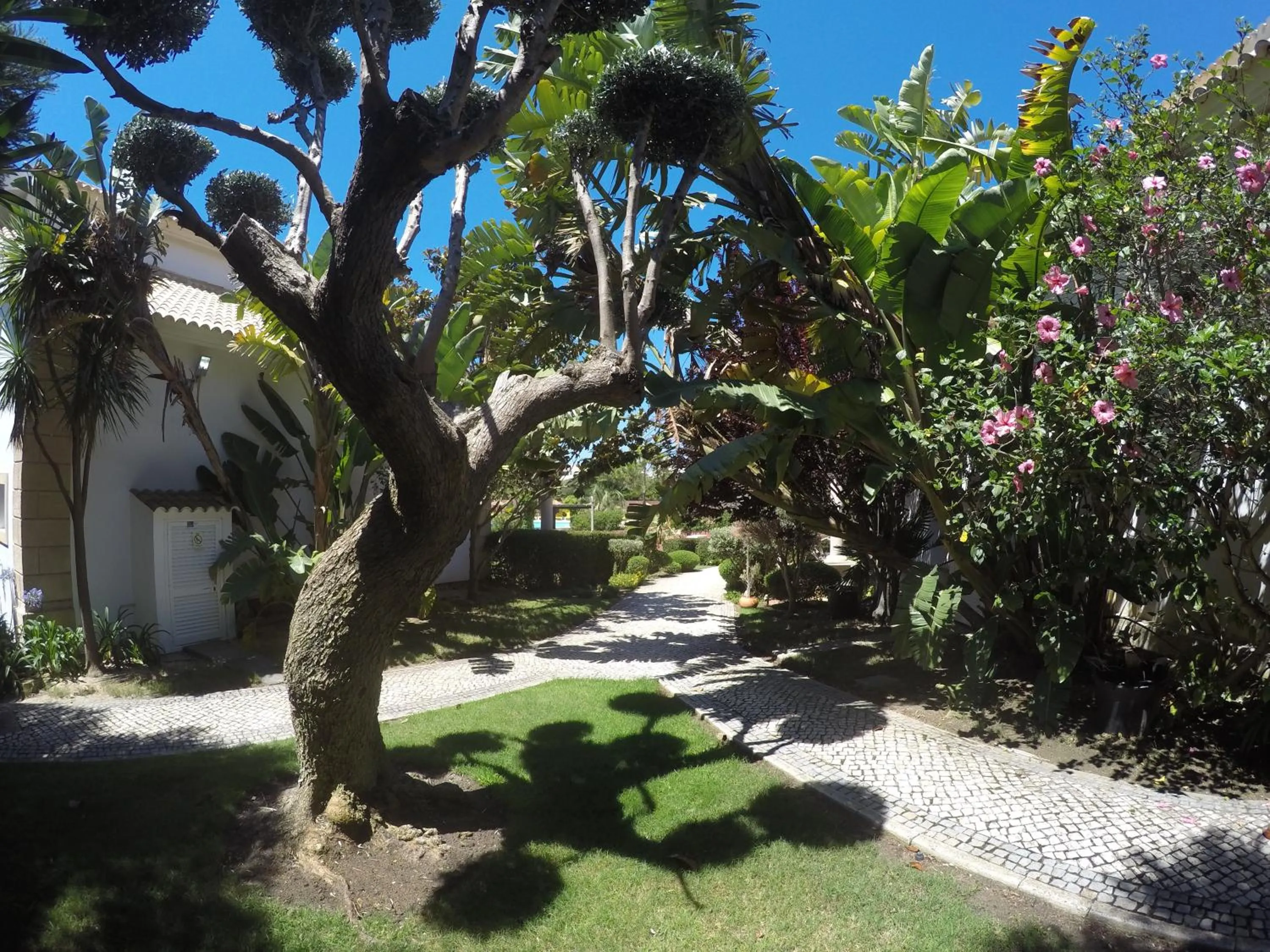 Patio in Luzmar Villas