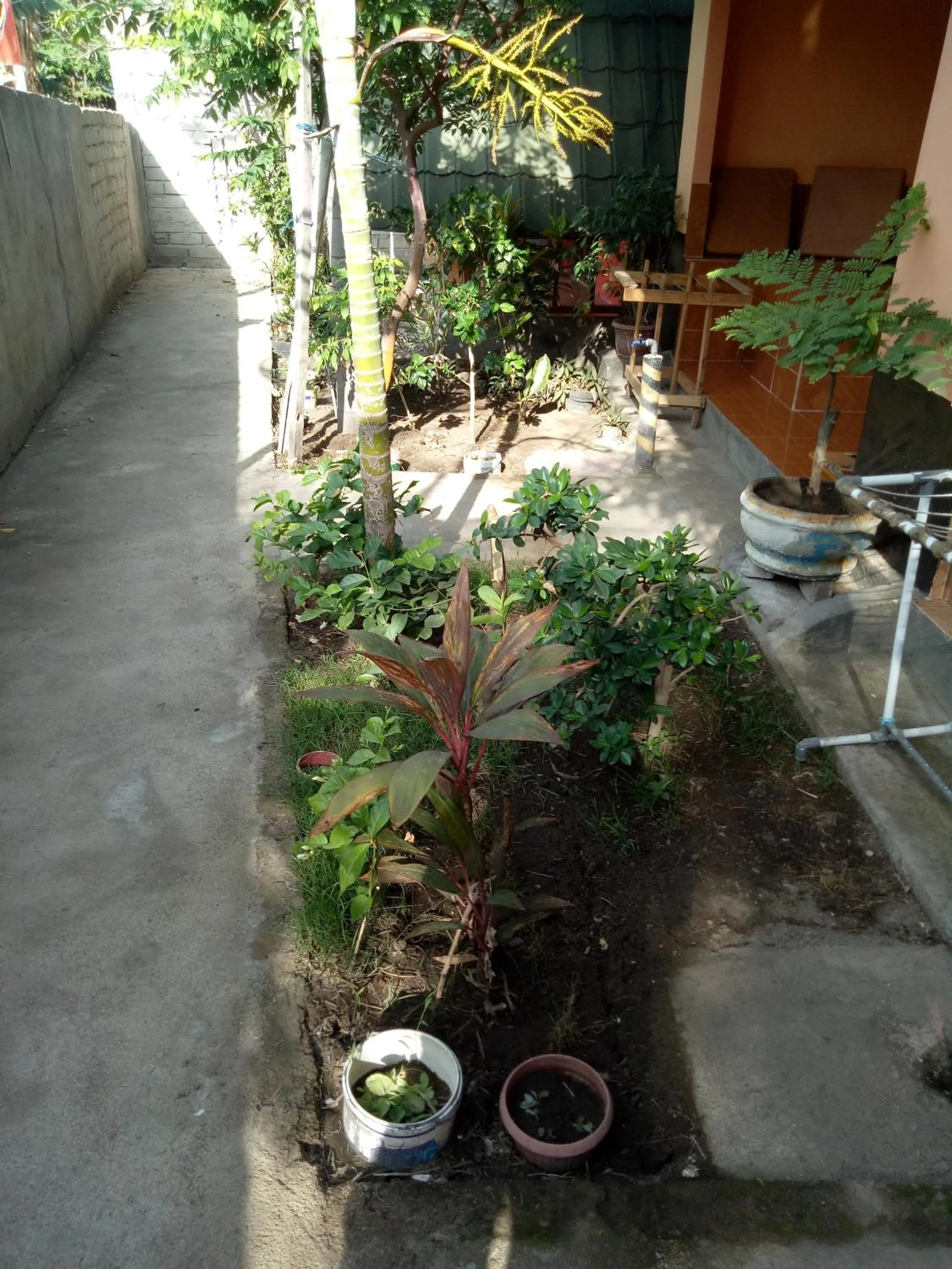Double Room in Aladdin Homestay