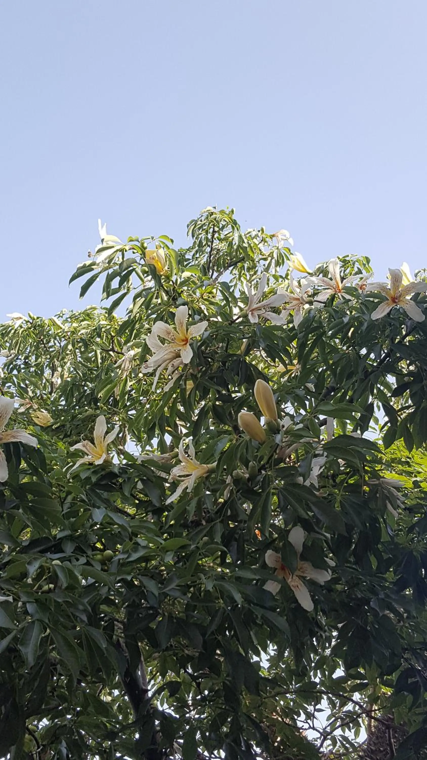 Natural landscape in Raggio di Sole Bed & Breakfast