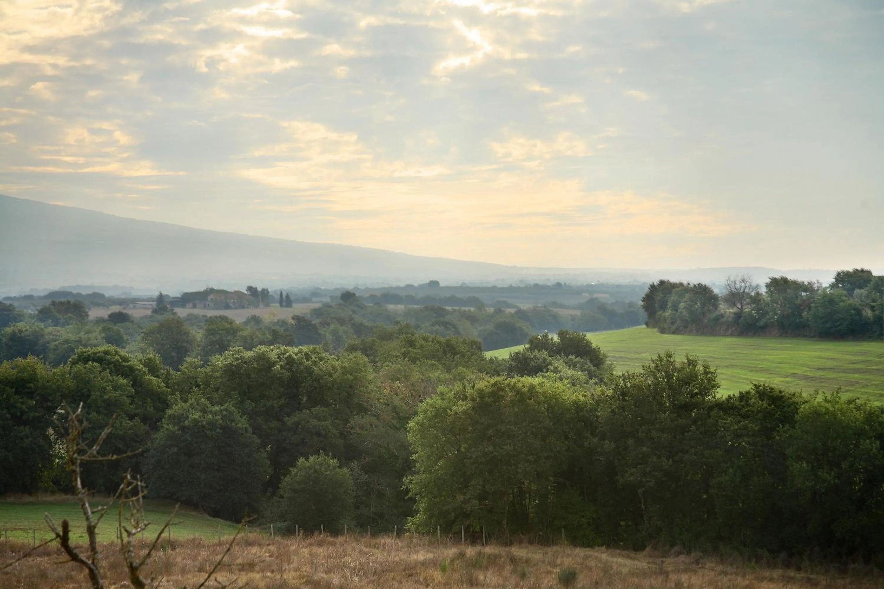 View (from property/room) in Agriturismo Il Marrugio
