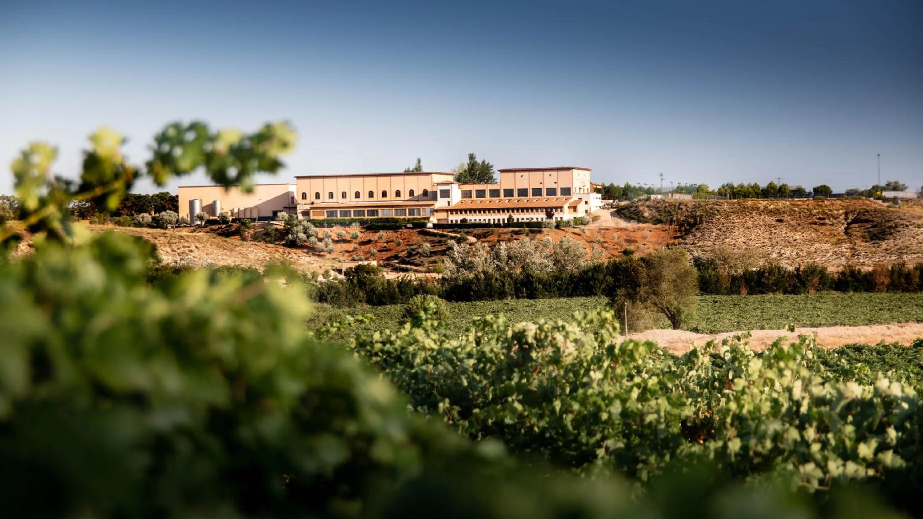Property building in Complejo Enoturístico Finca La Estacada