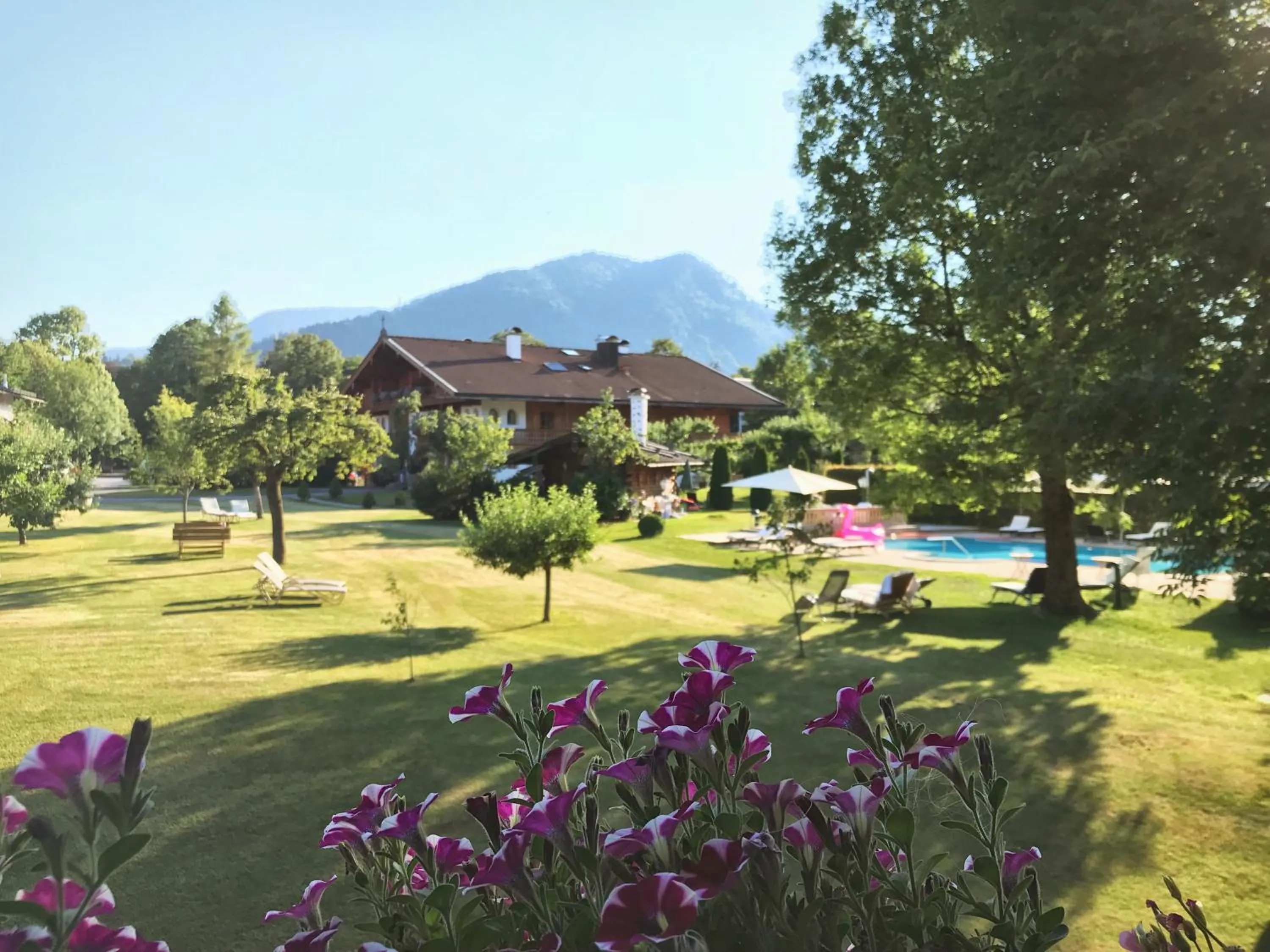 Natural landscape in Hotel Maier zum Kirschner