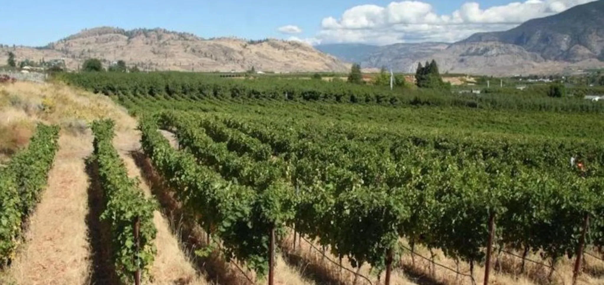 Nearby landmark in Holiday Inn Hotel & Suites Osoyoos by IHG