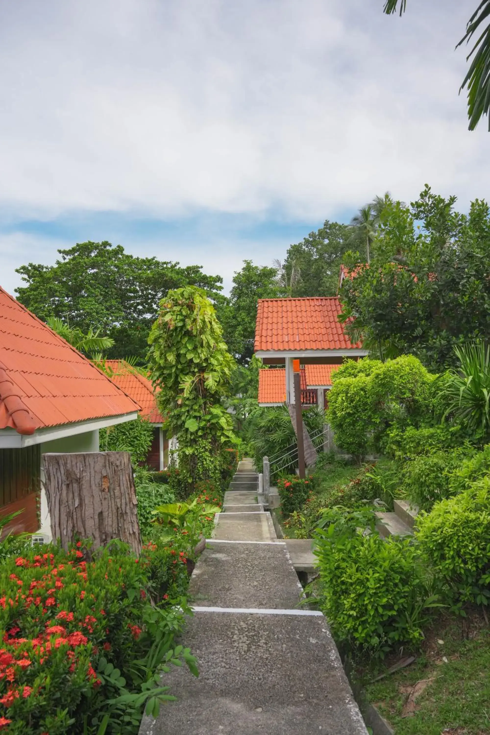 Property building in New Star Beach Resort Property building in New Star Beach Resort