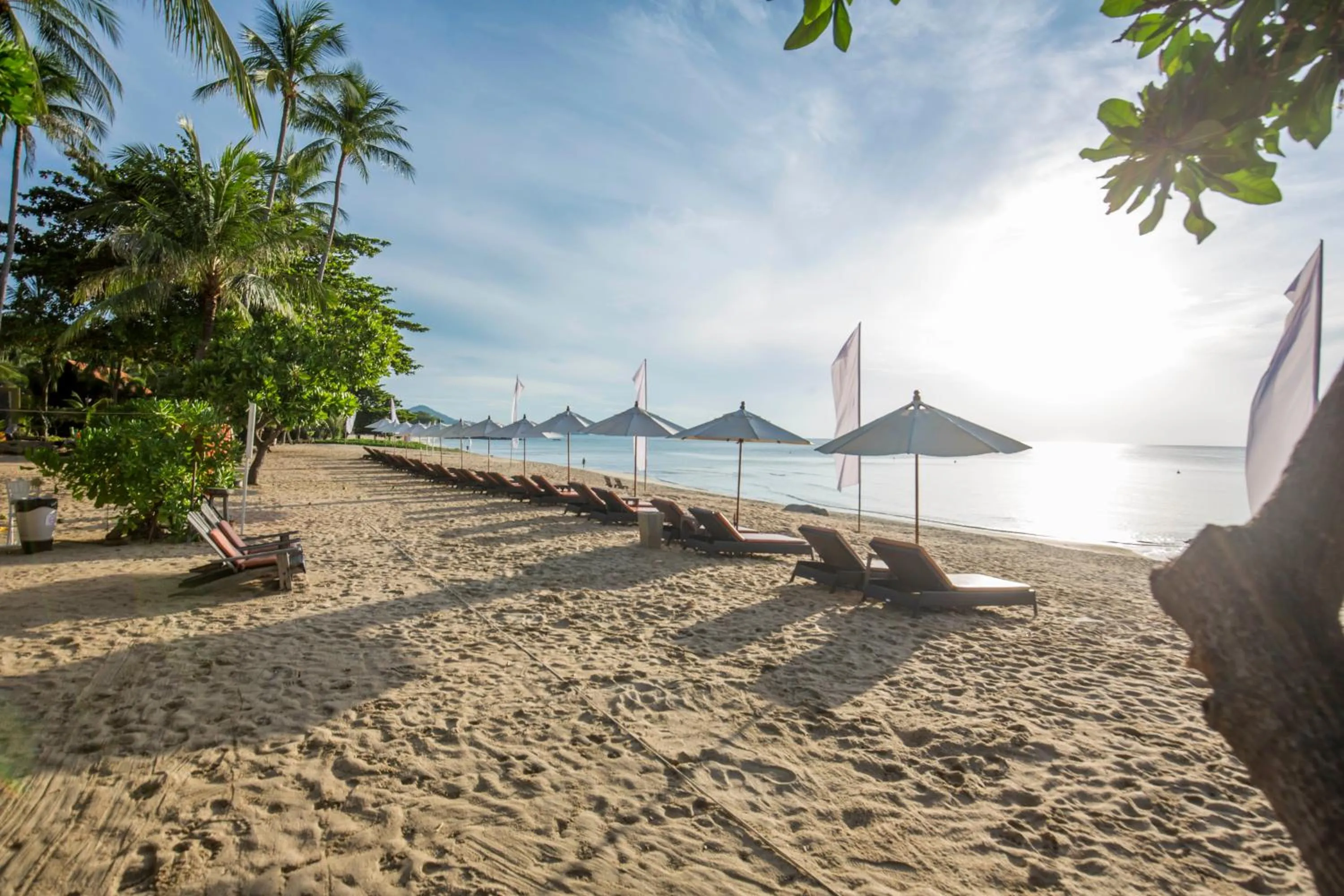 Beach in New Star Beach Resort
