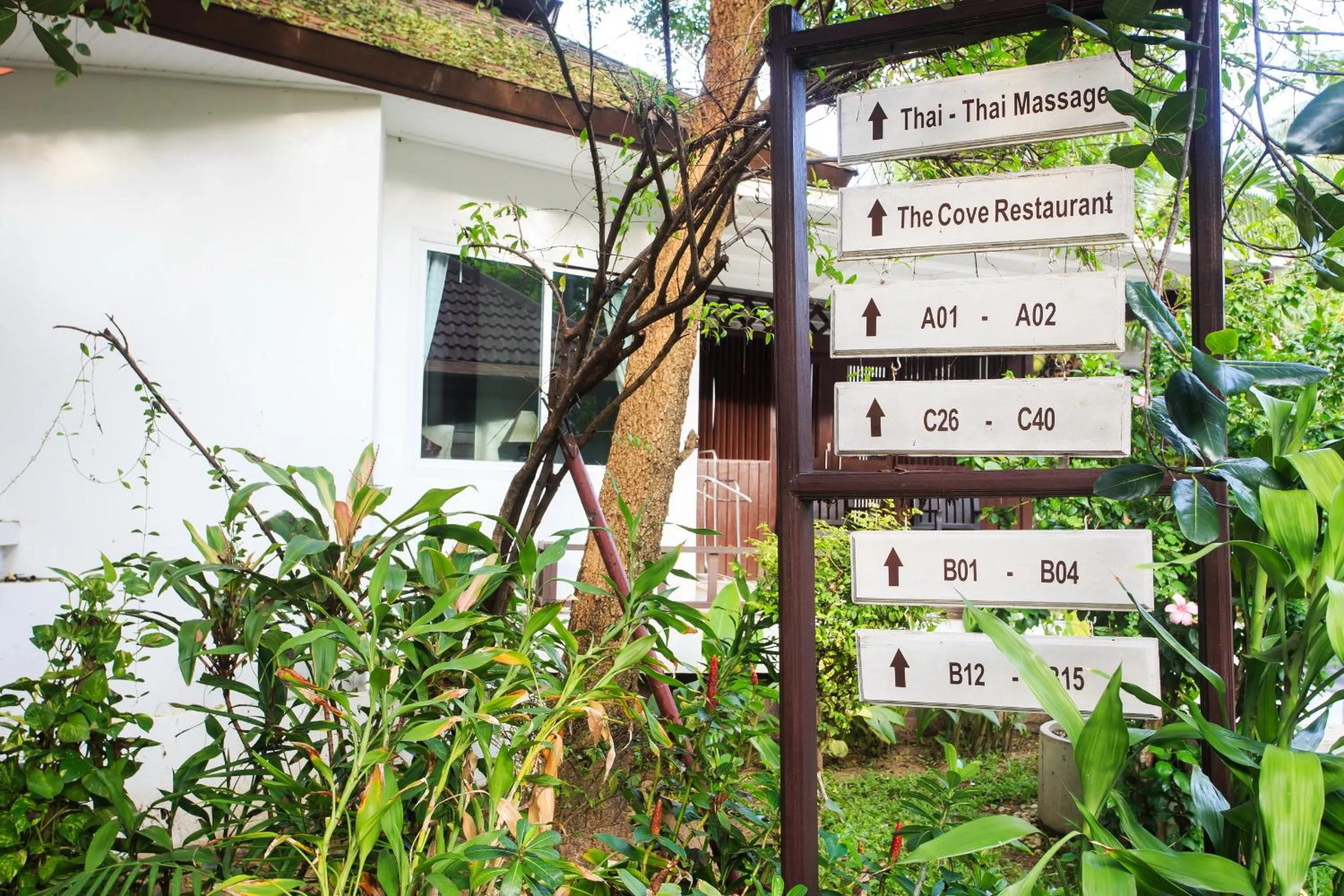 Natural landscape in Chaweng Cove Beach Resort
