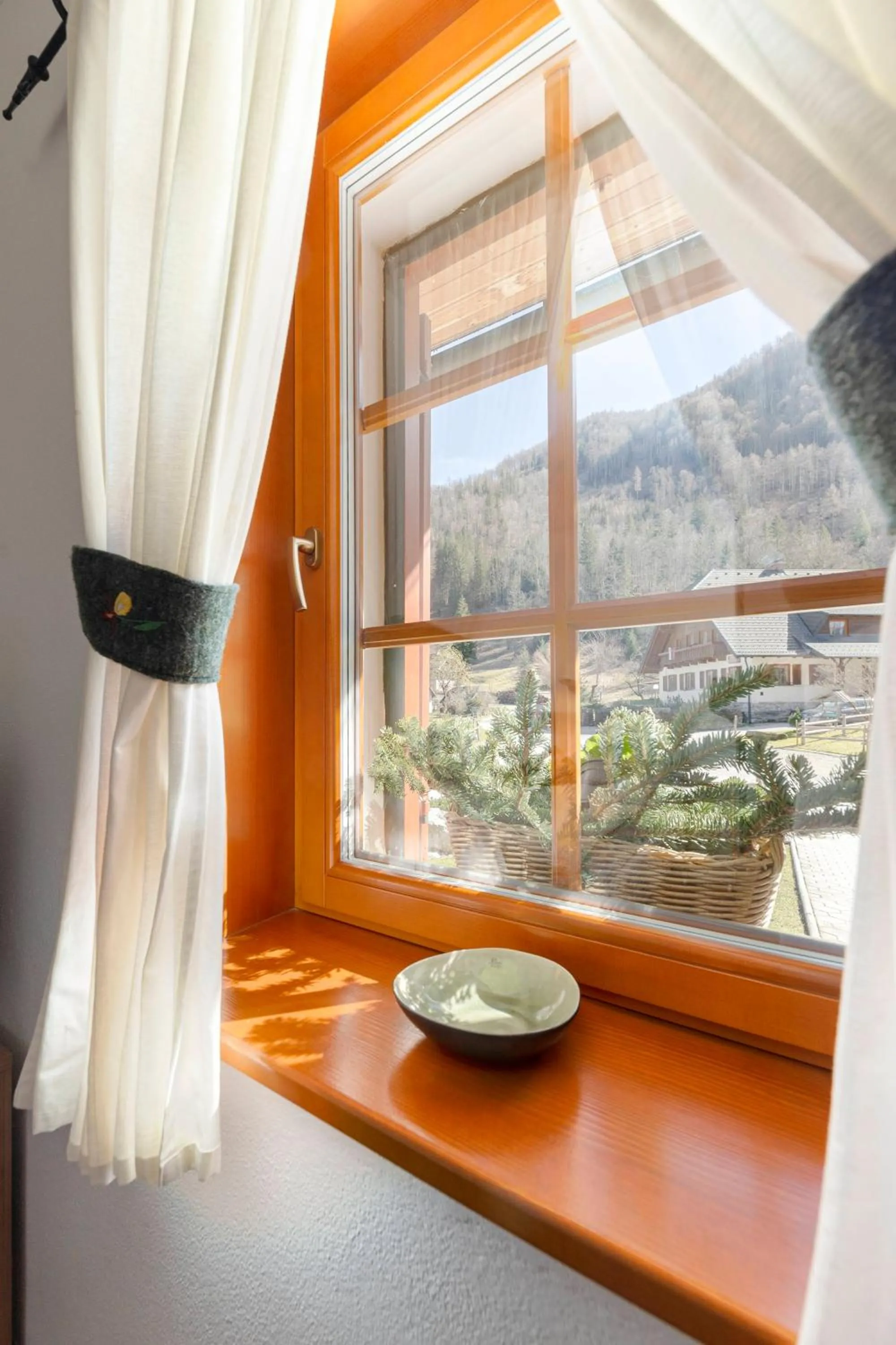 Natural landscape in Hiša Ojstrica