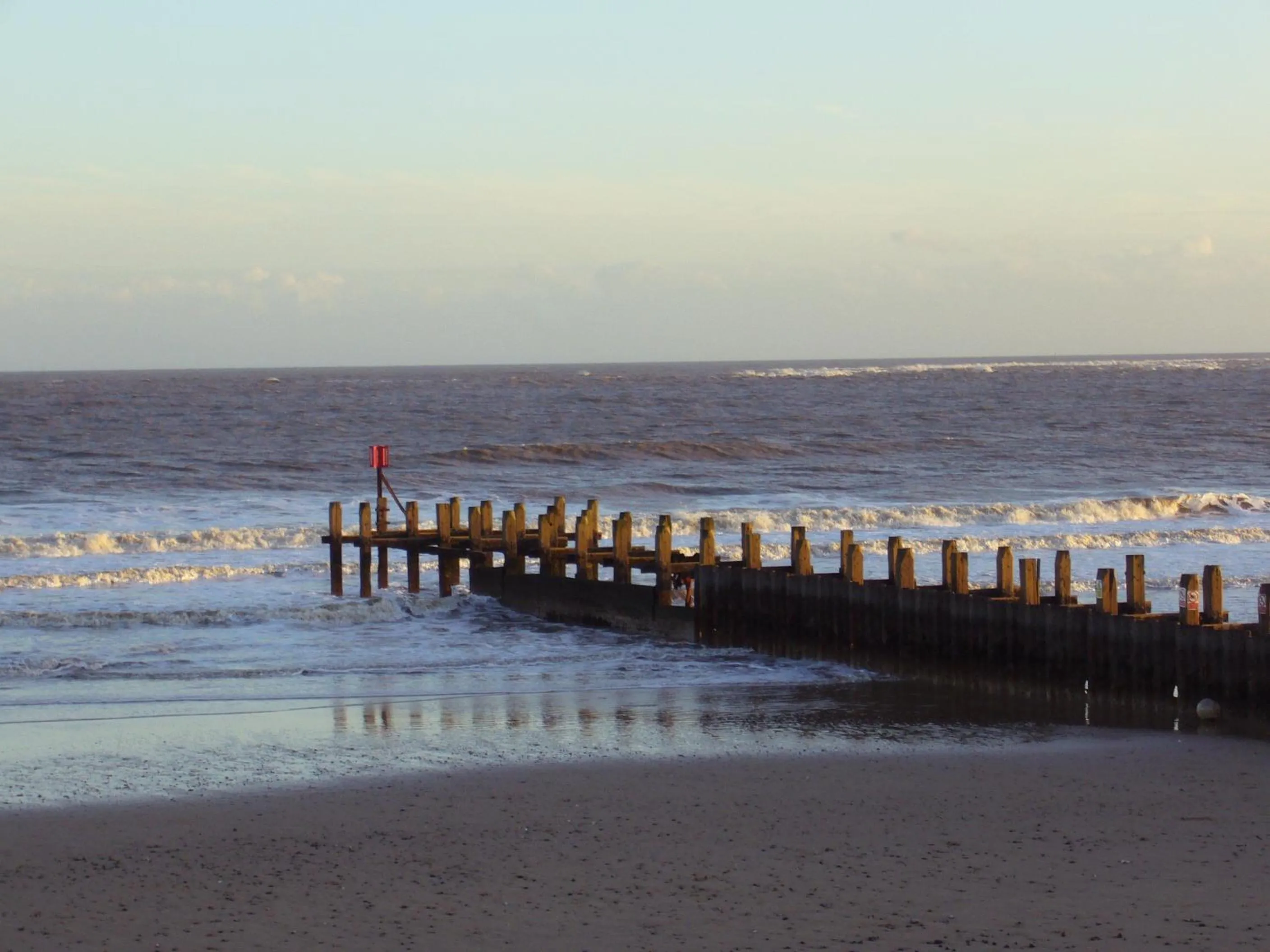 Natural landscape in Kingsleigh Guest House