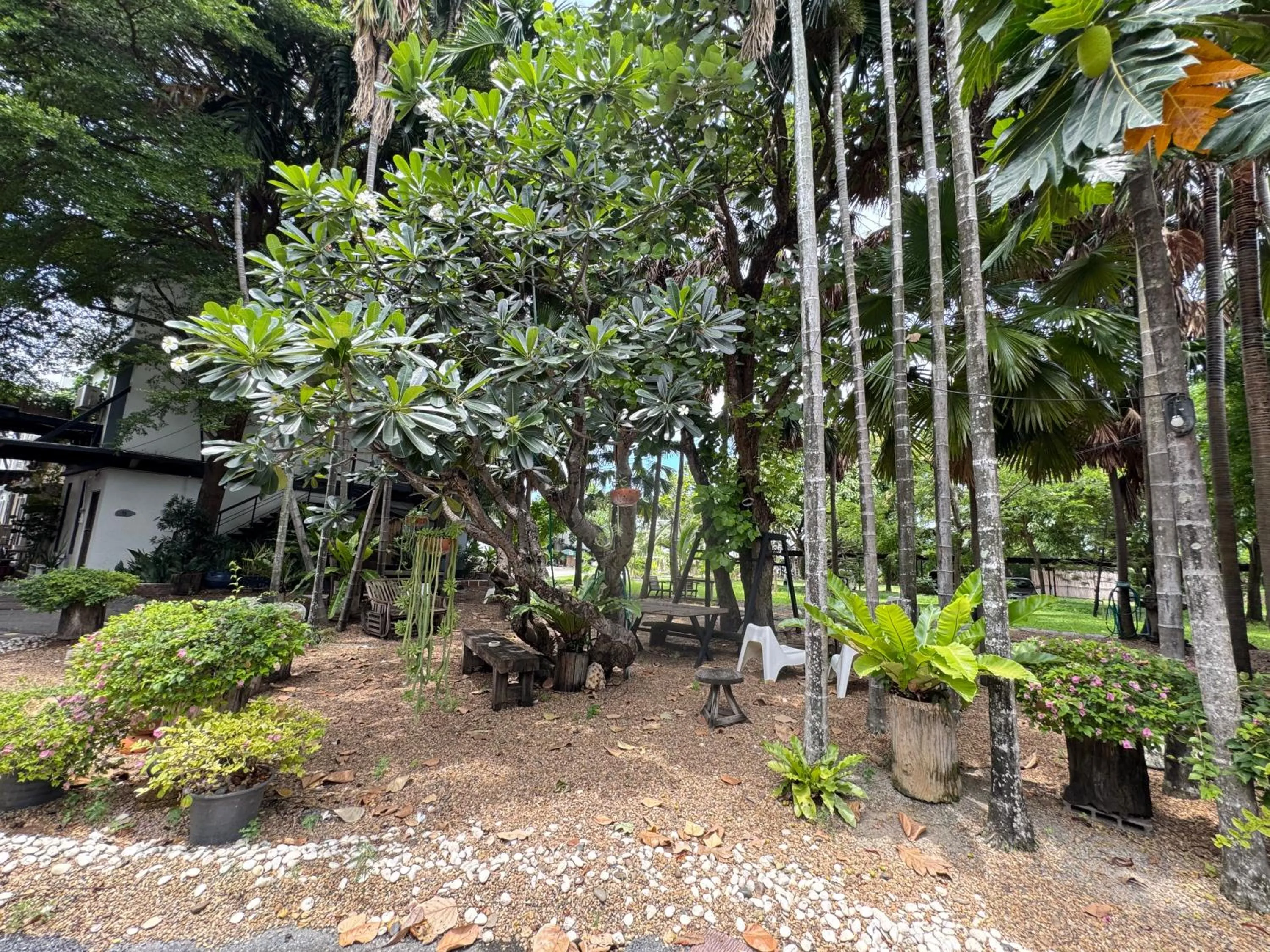 Garden in Paragon Inn
