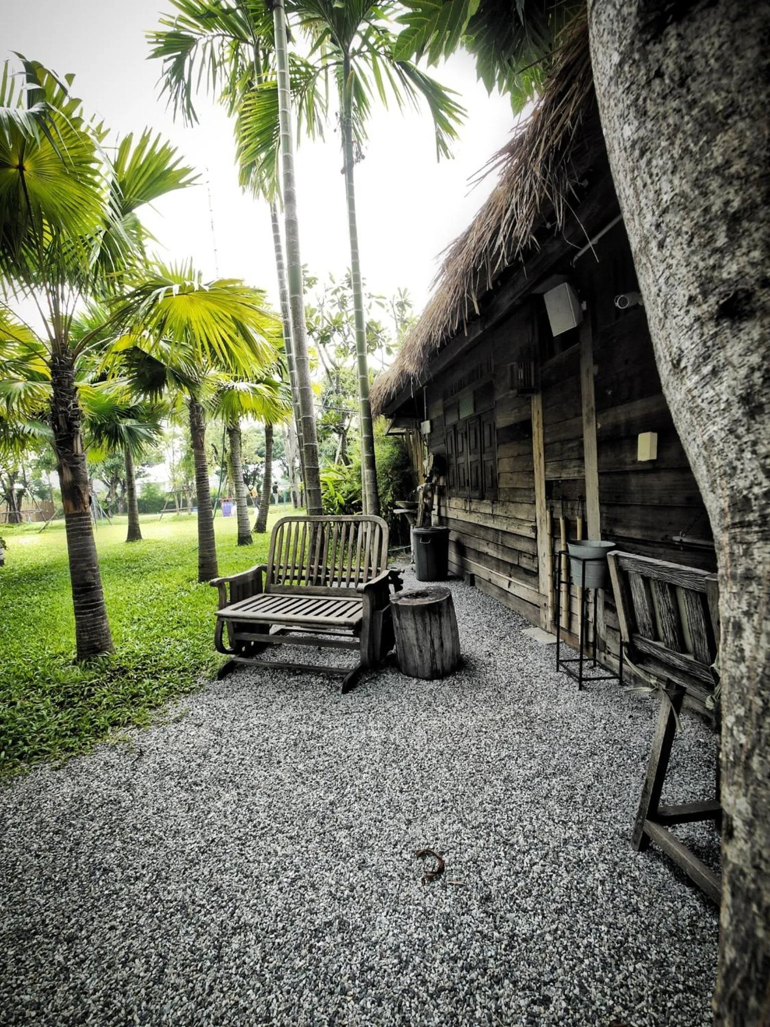 Natural landscape in Paragon Inn
