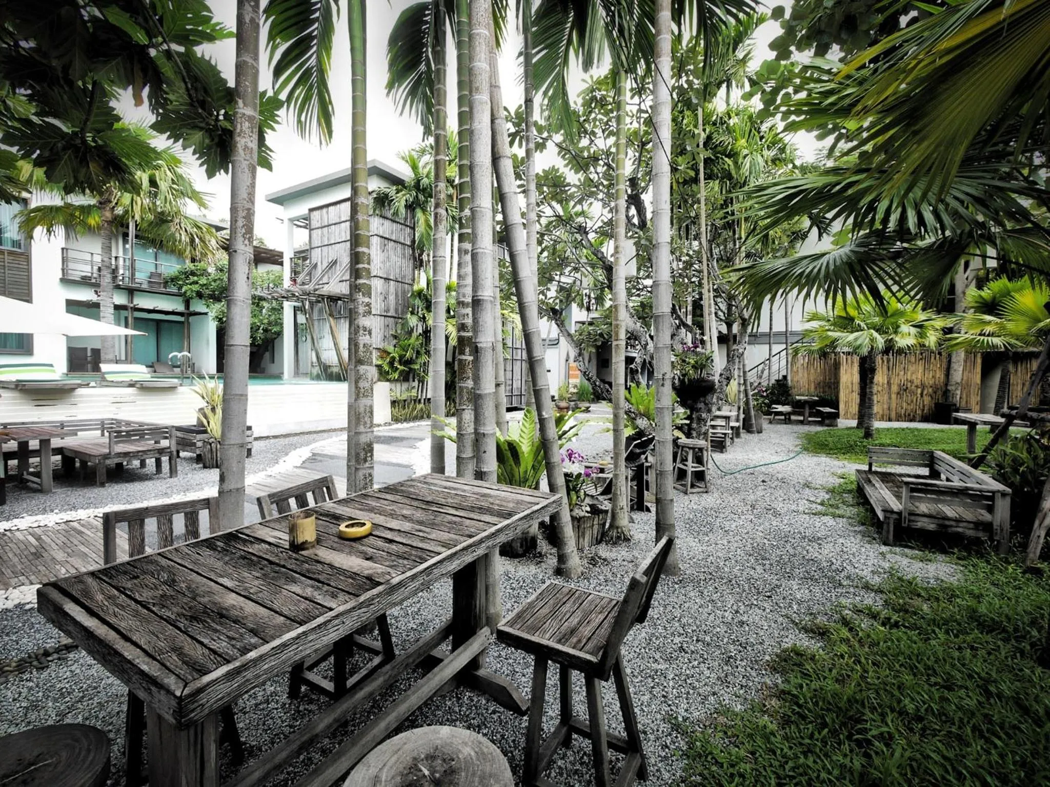 Natural landscape in Paragon Inn