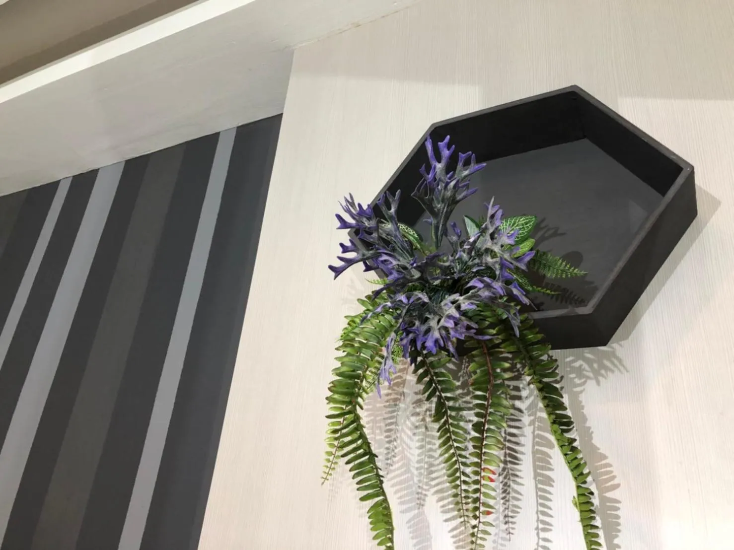 Area and facilities in Paragon Inn