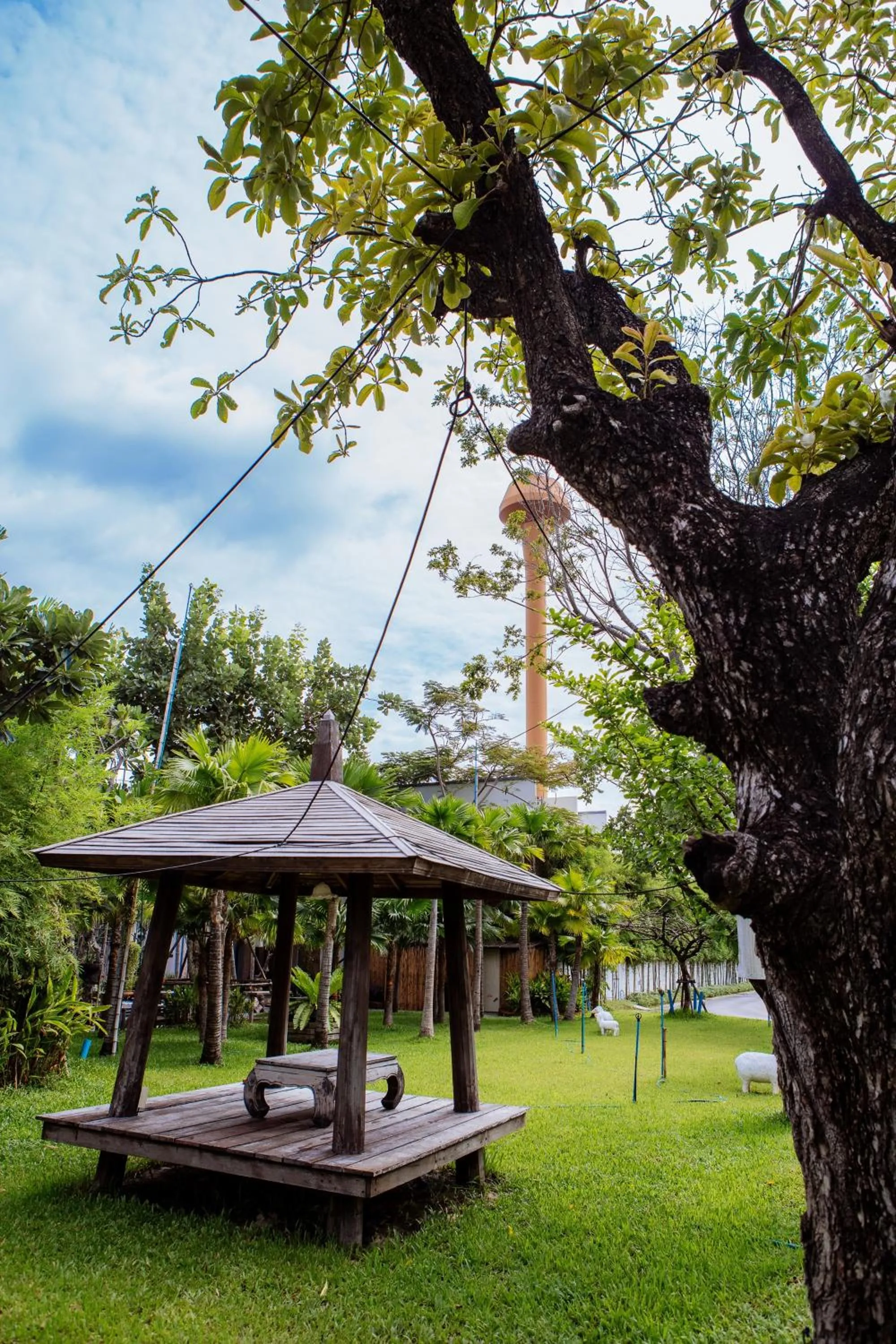 Natural landscape in Paragon Inn