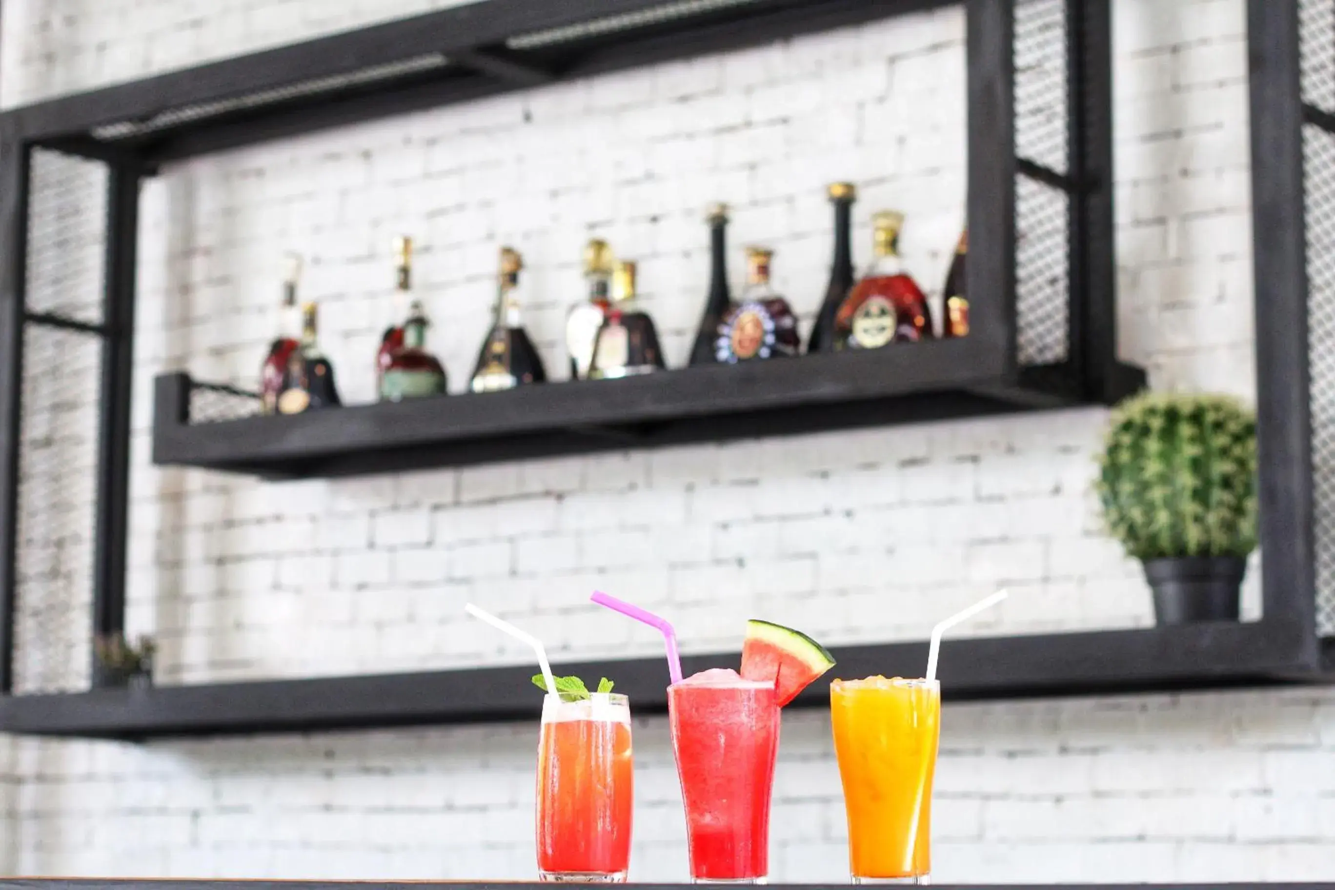 Lounge or bar in Paragon Inn Lounge or bar in Paragon Inn