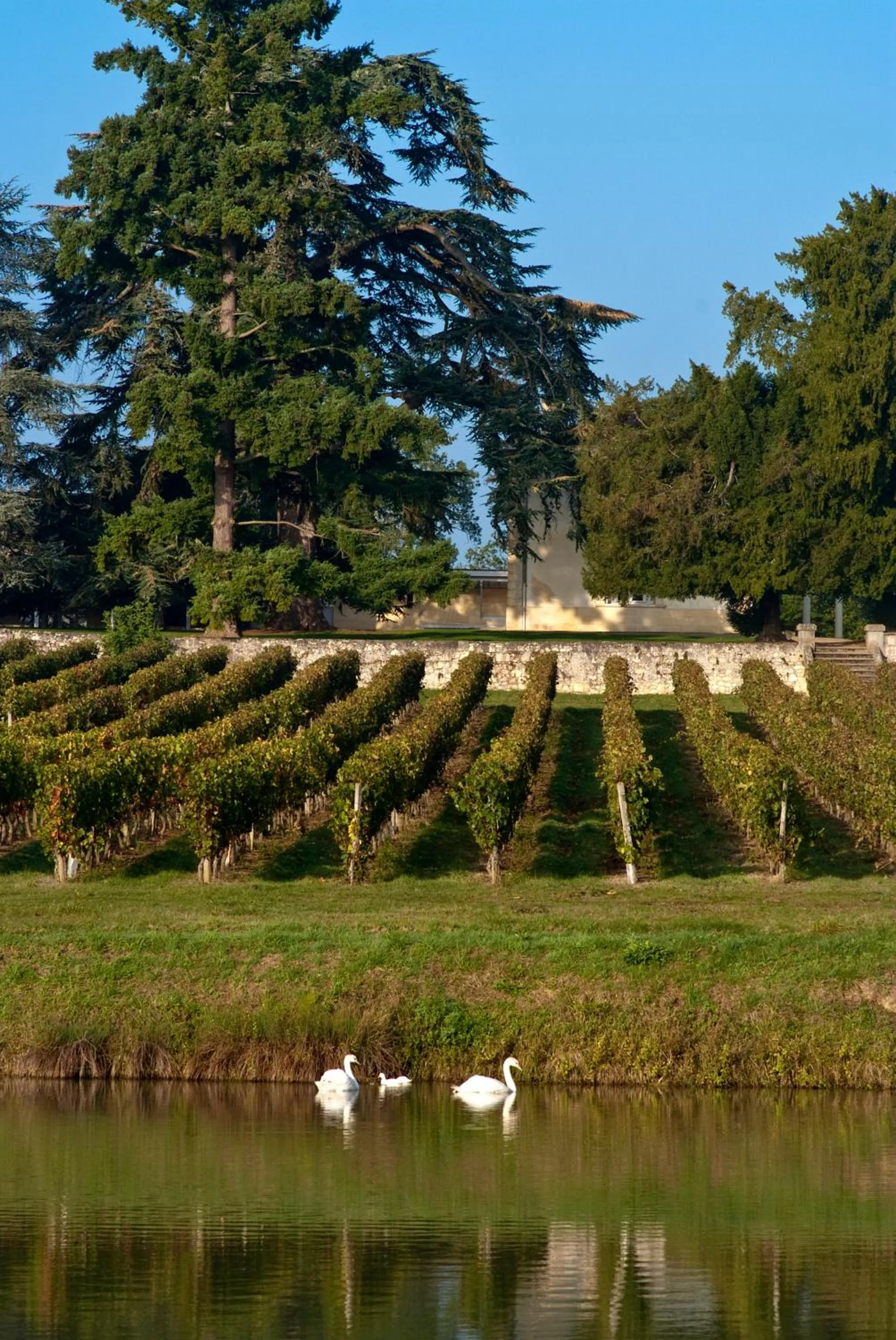 Natural landscape in Pey La Tour - Logis Hôtels & Restaurant