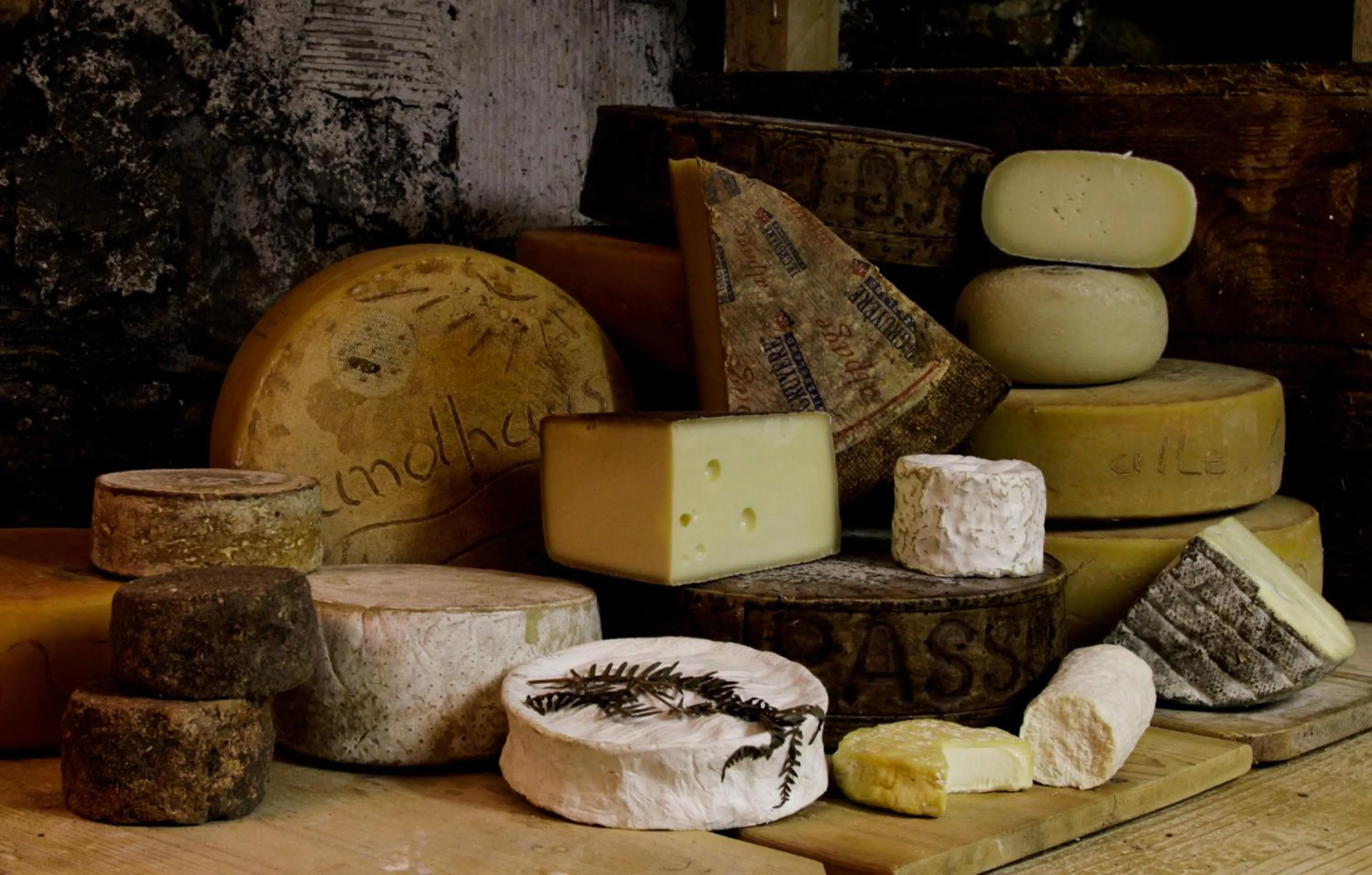 Cycling in Landhus Almens