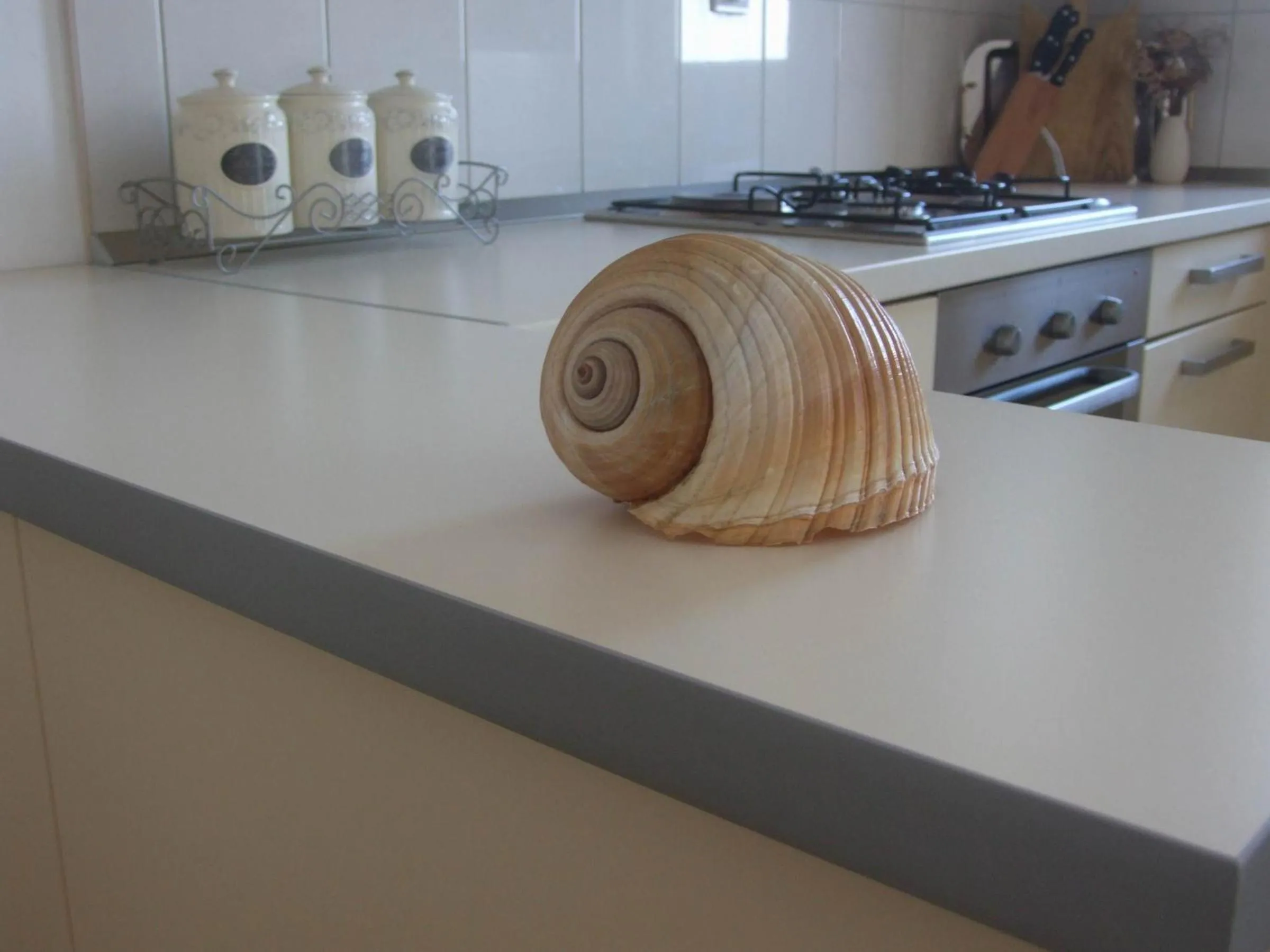 Kitchen or kitchenette in Apartment Antonia