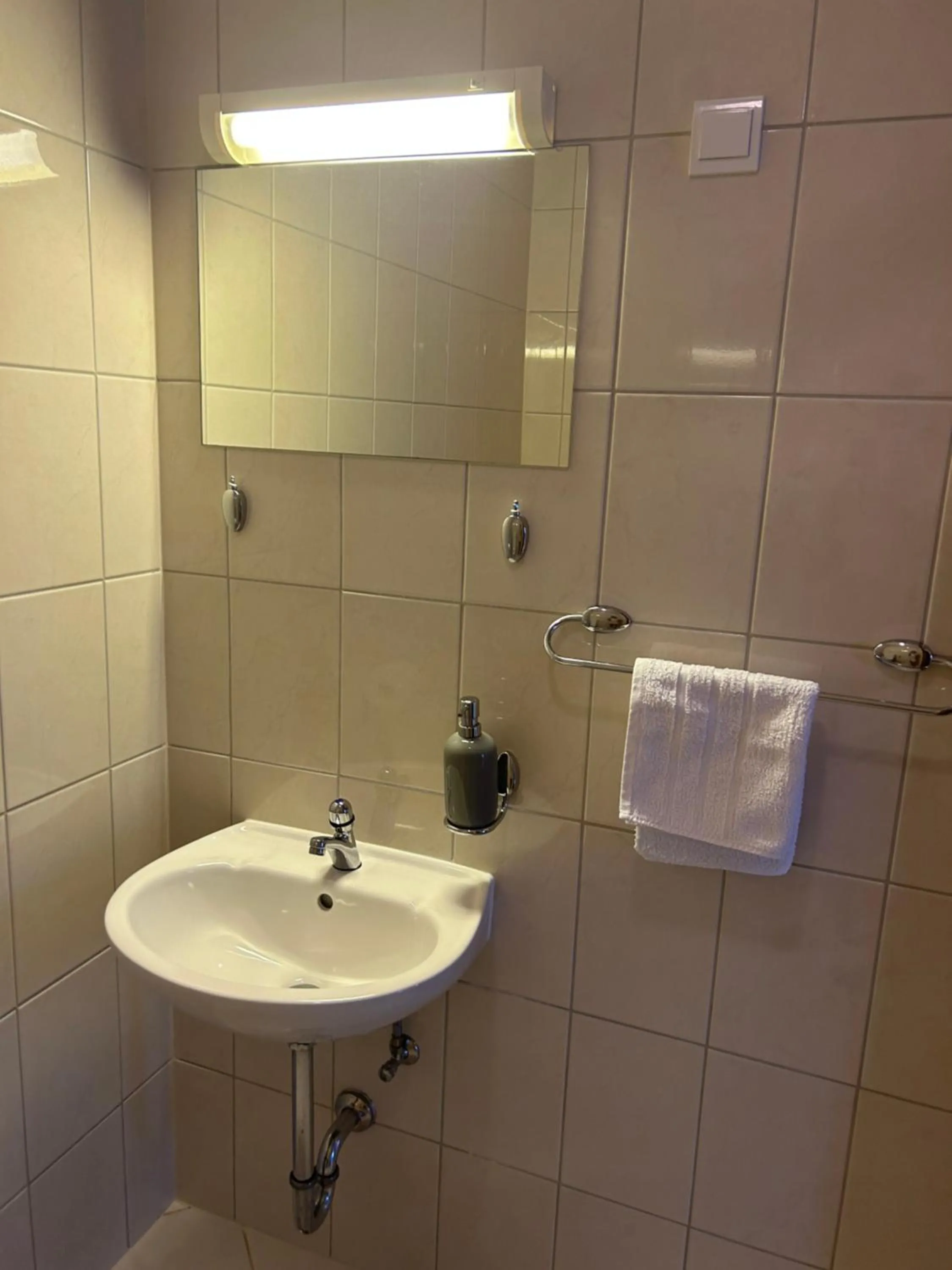 Toilet in Apartment Antonia