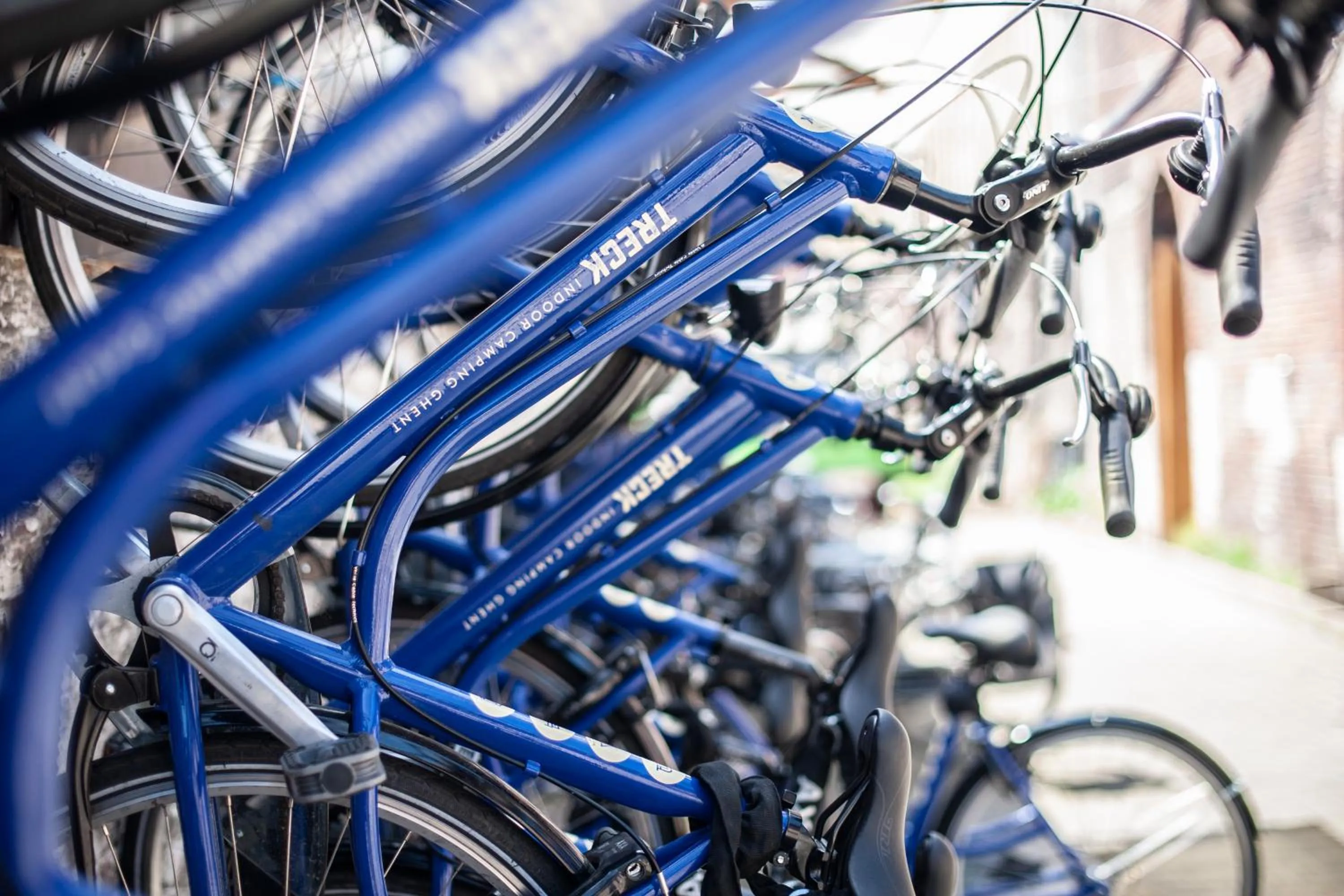 Cycling in Treck Hostel