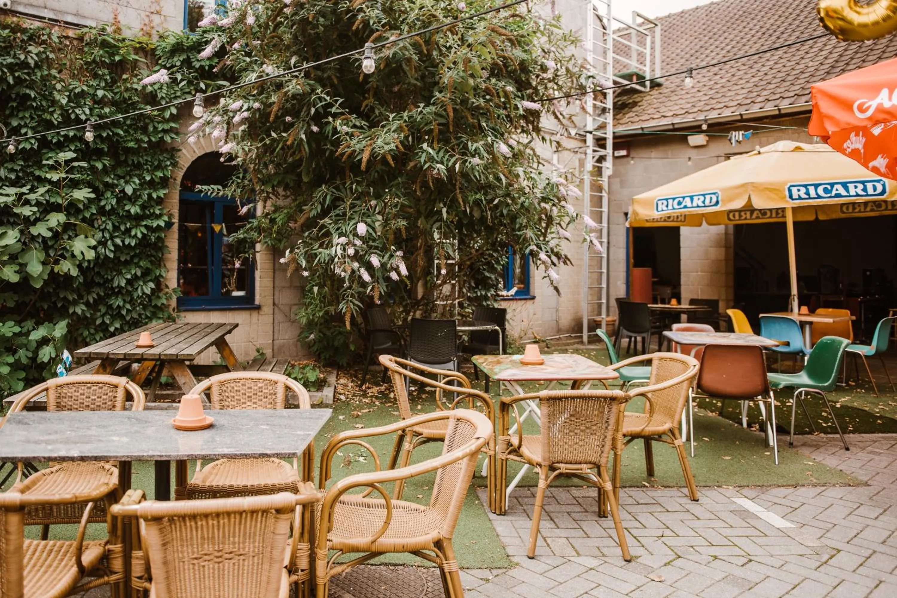 Balcony/Terrace in Treck Hostel