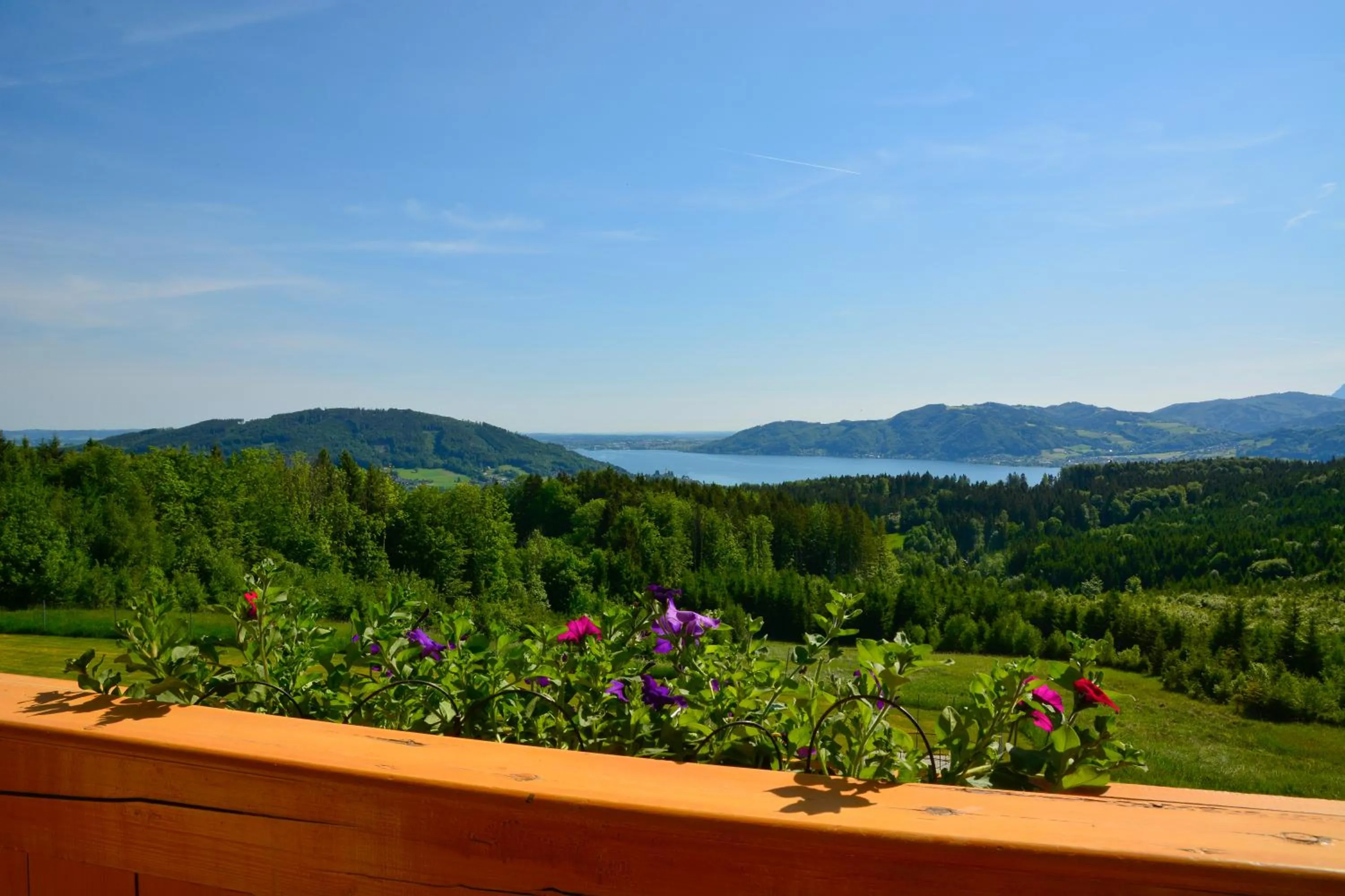 Lake view in Ferienhotel Hofer superior