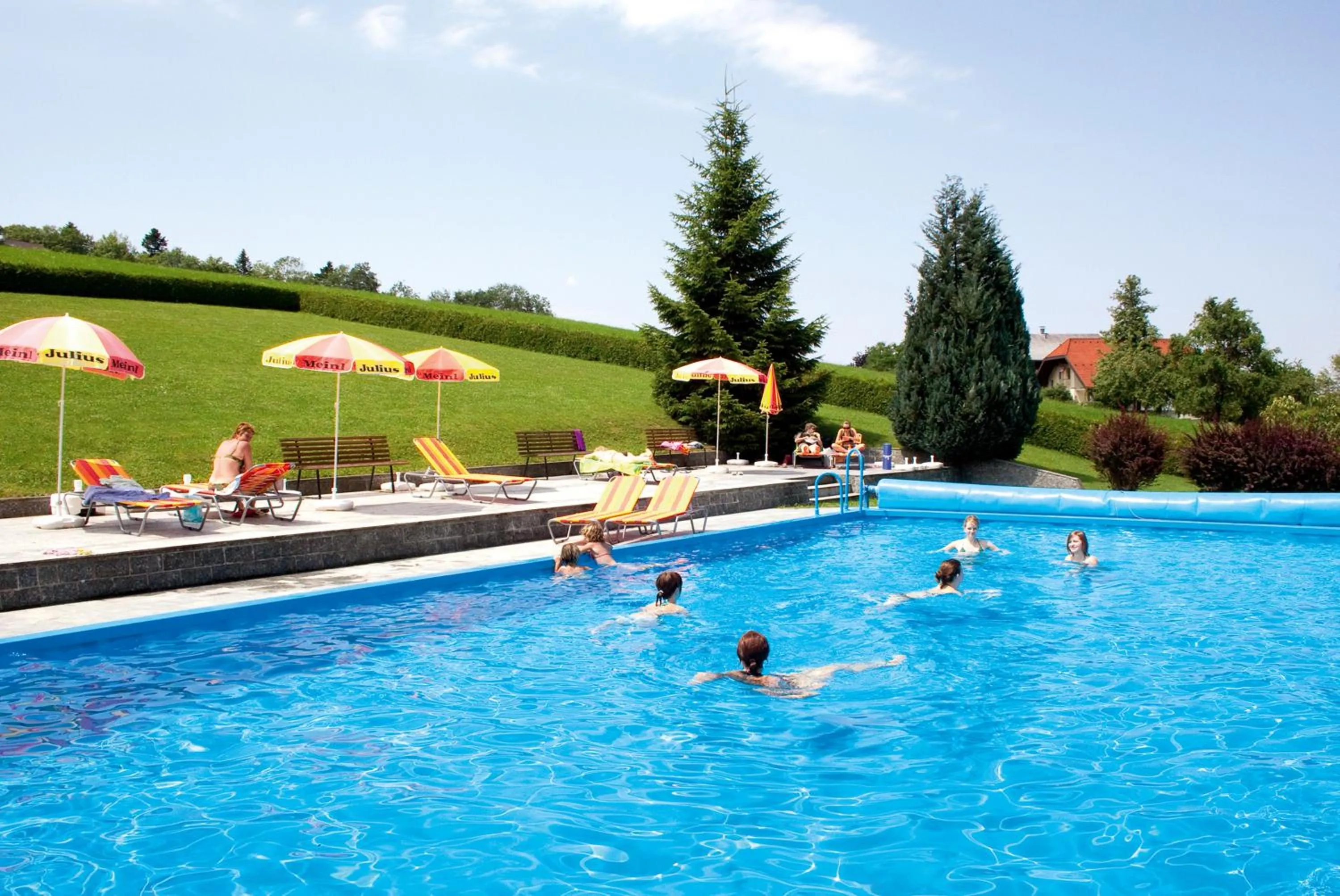 Swimming pool in Ferienhotel Hofer superior