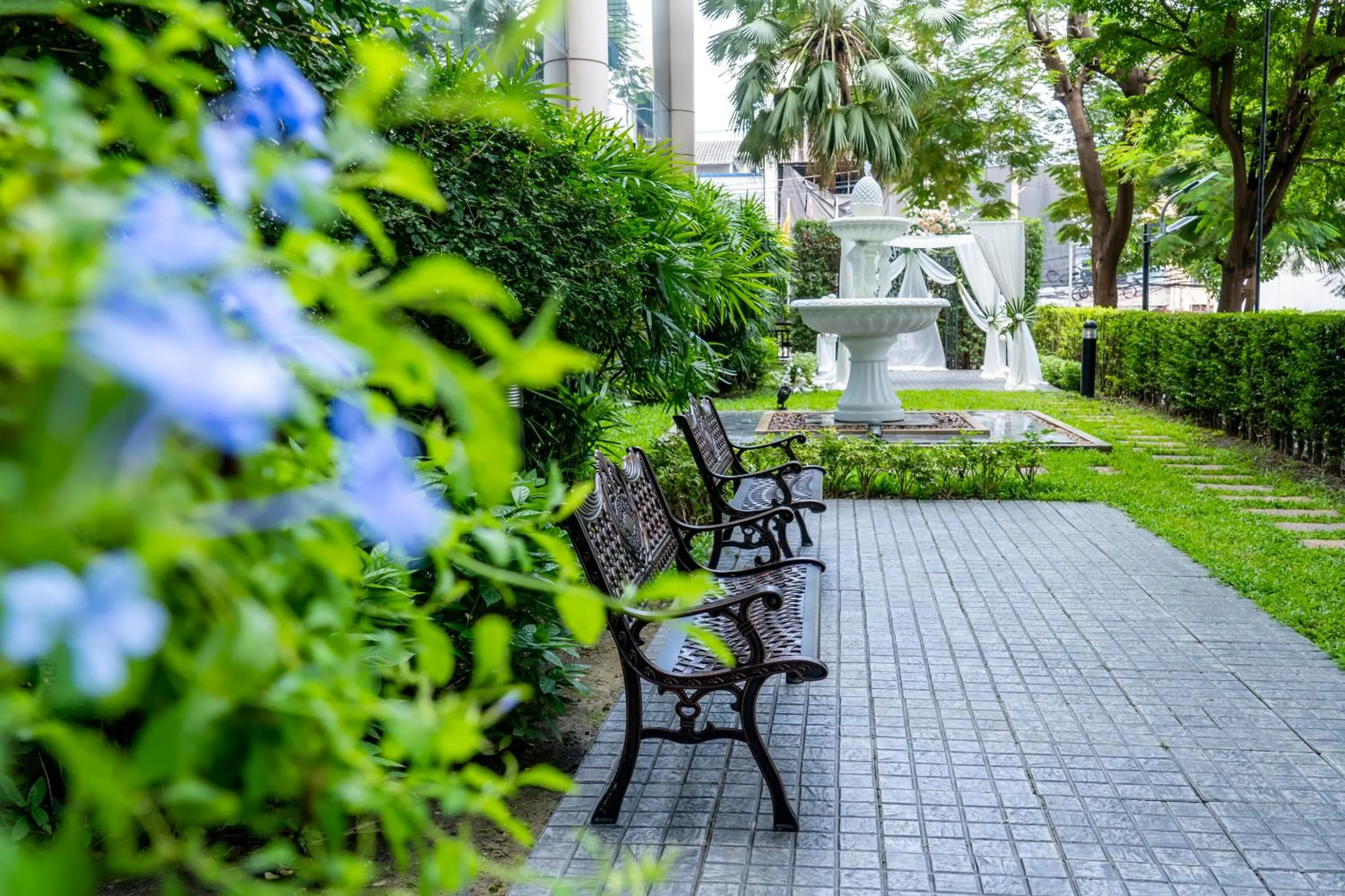 Garden in Century Park Hotel