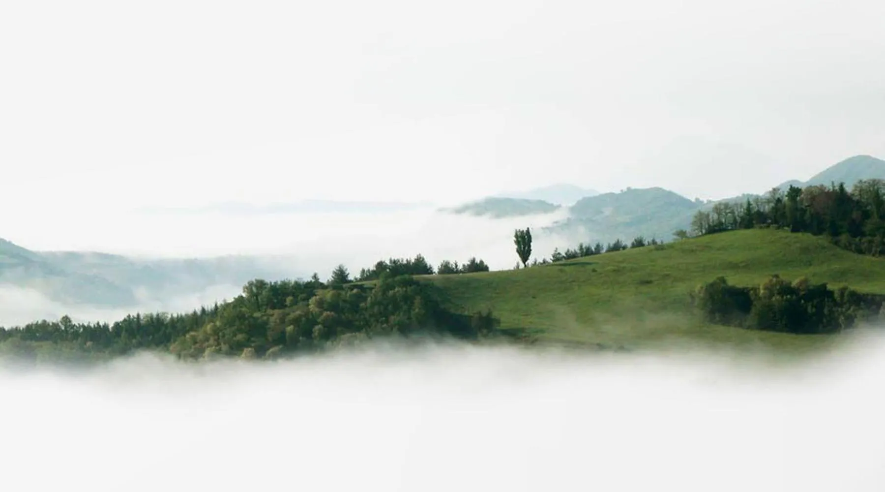 Bird's eye view in Colleverde Country House & SPA Urbino
