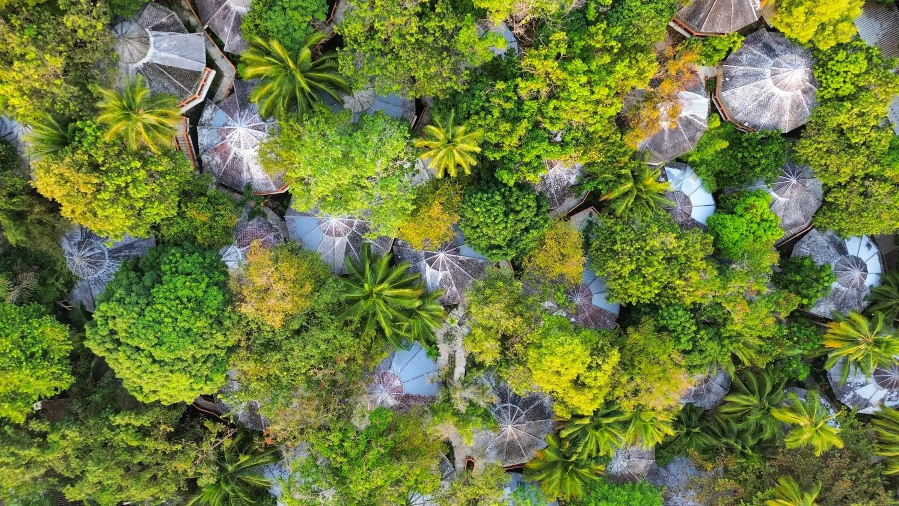 Bird's eye view in The Hideaway Pariya Haad Yuan Ko Pha-ngan Bird's eye view in The Hideaway Pariya Haad Yuan Ko Pha-ngan