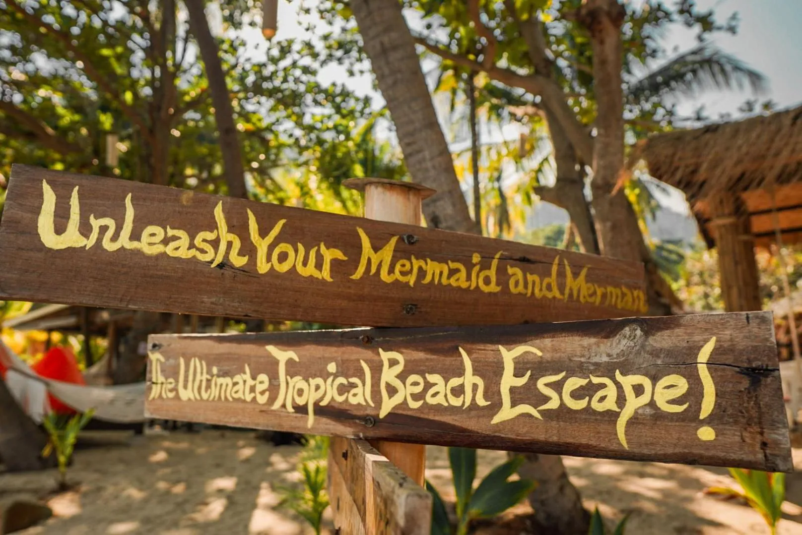 Property logo or sign in The Hideaway Pariya Haad Yuan Ko Pha-ngan