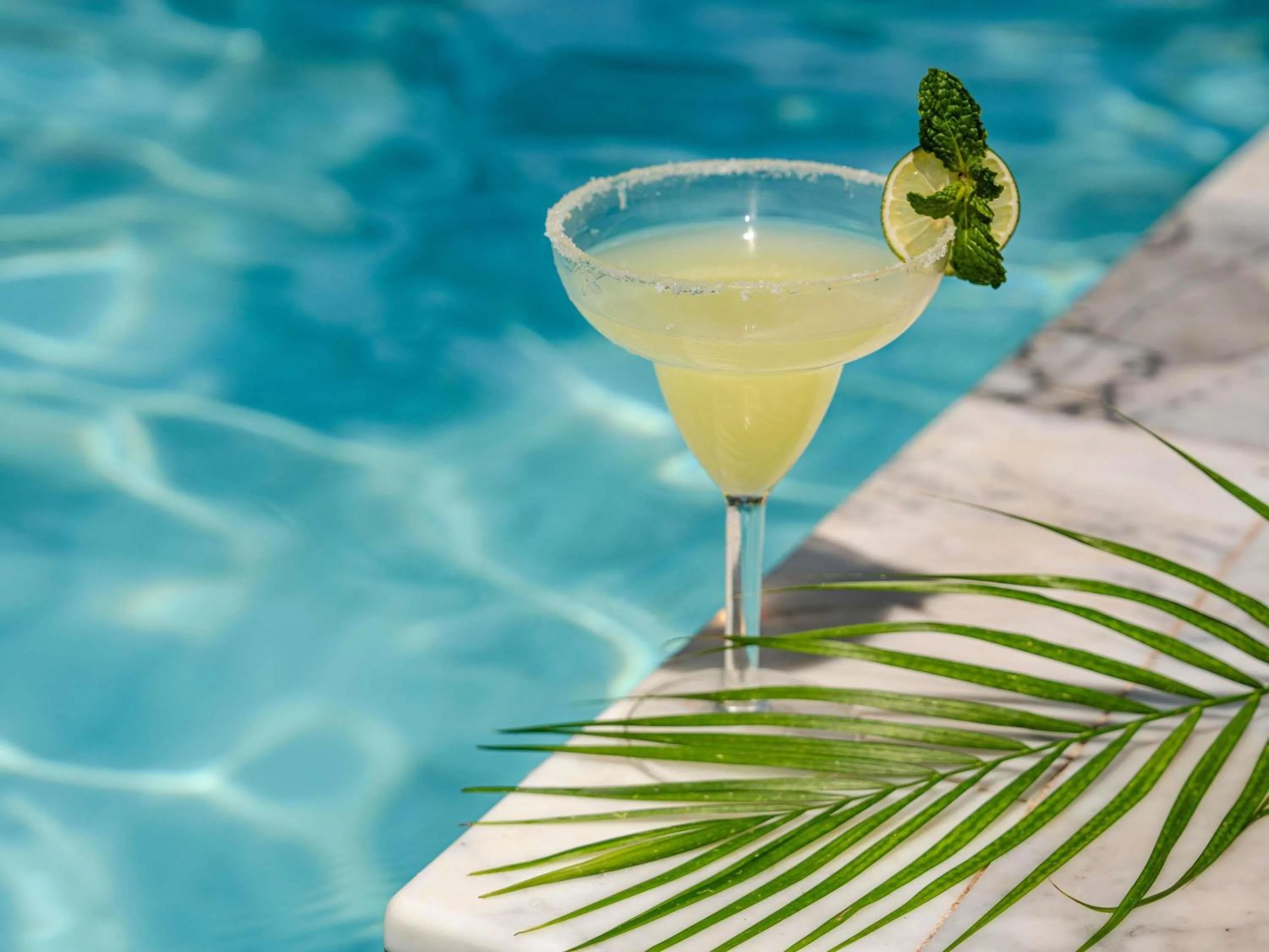 Lounge or bar in Novotel Phuket Kata Avista Resort and Spa