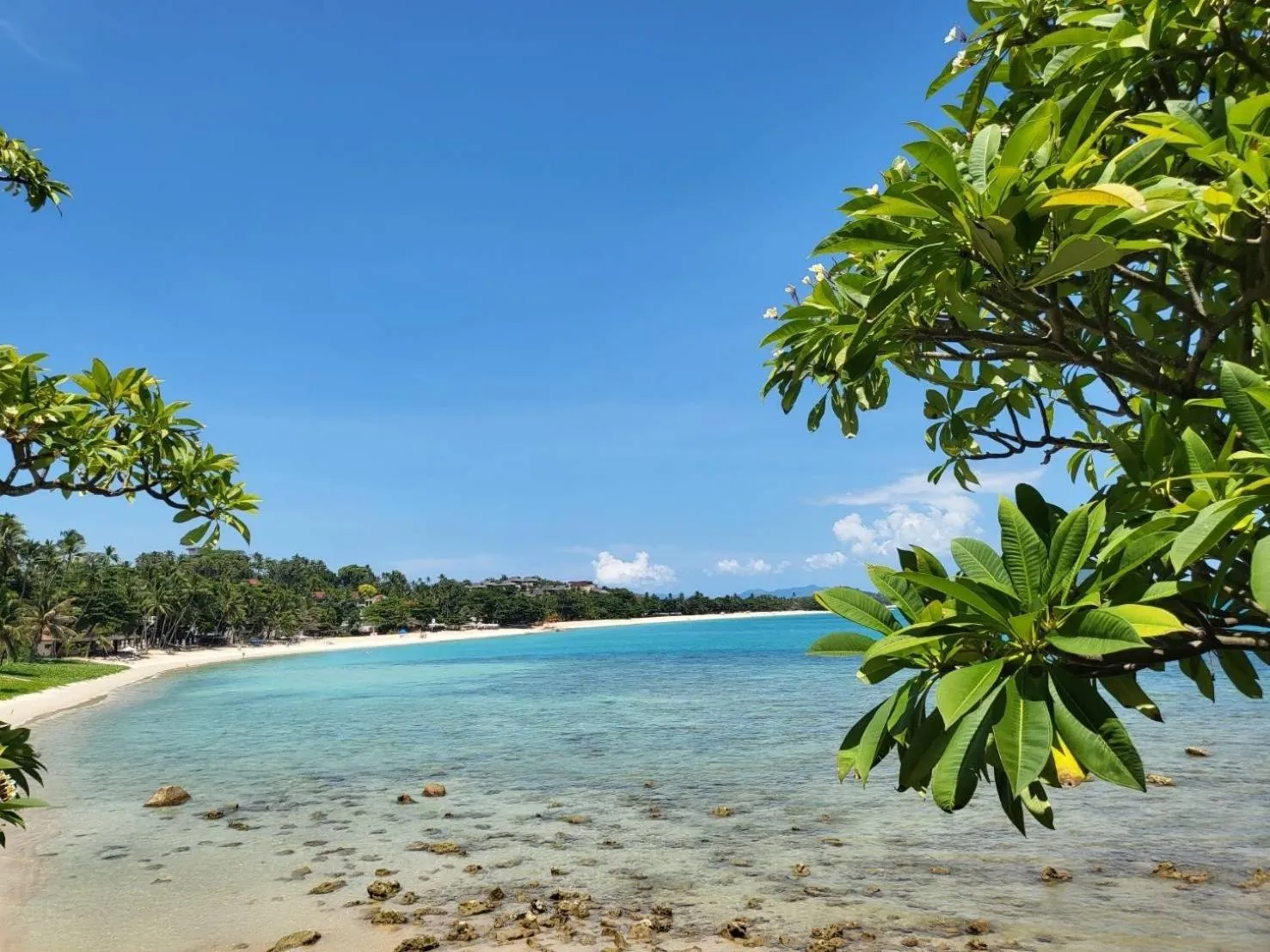 Beach in The Sarann Koh Samui, Suites & Villas