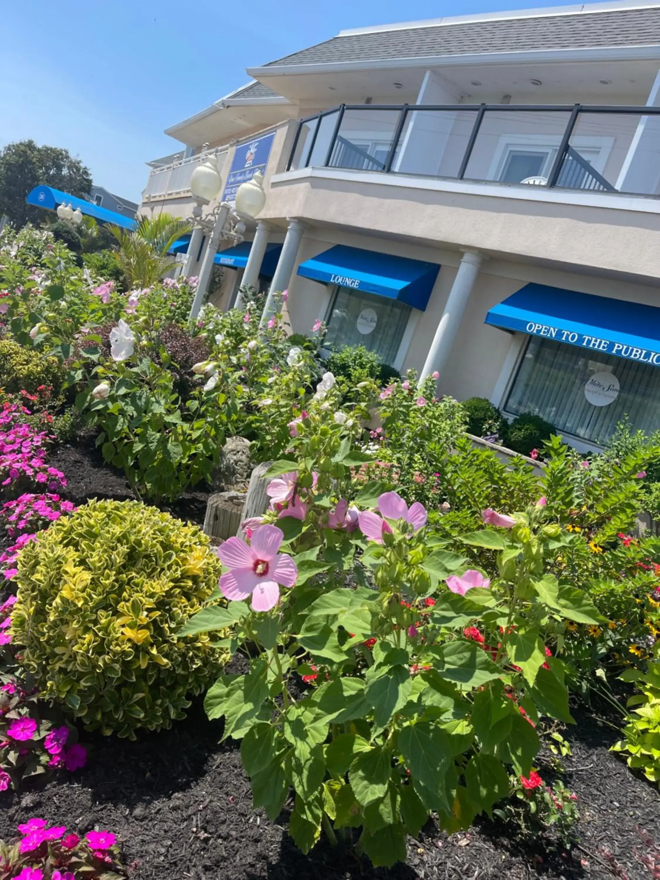 Property building in The White Sands Resort and Spa Property building in The White Sands Resort and Spa