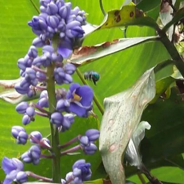 Spring in Stolz Chales