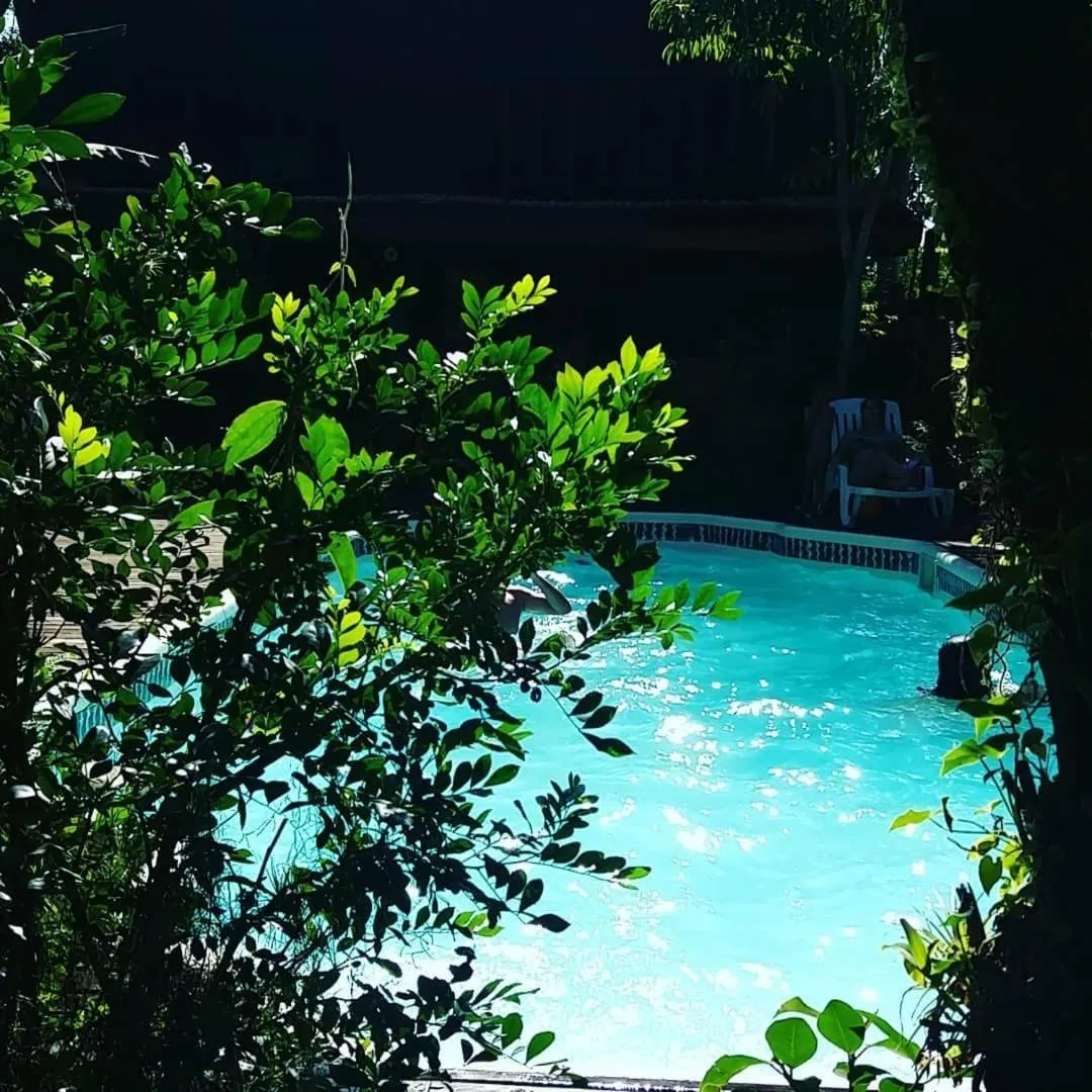Pool view in Stolz Chales