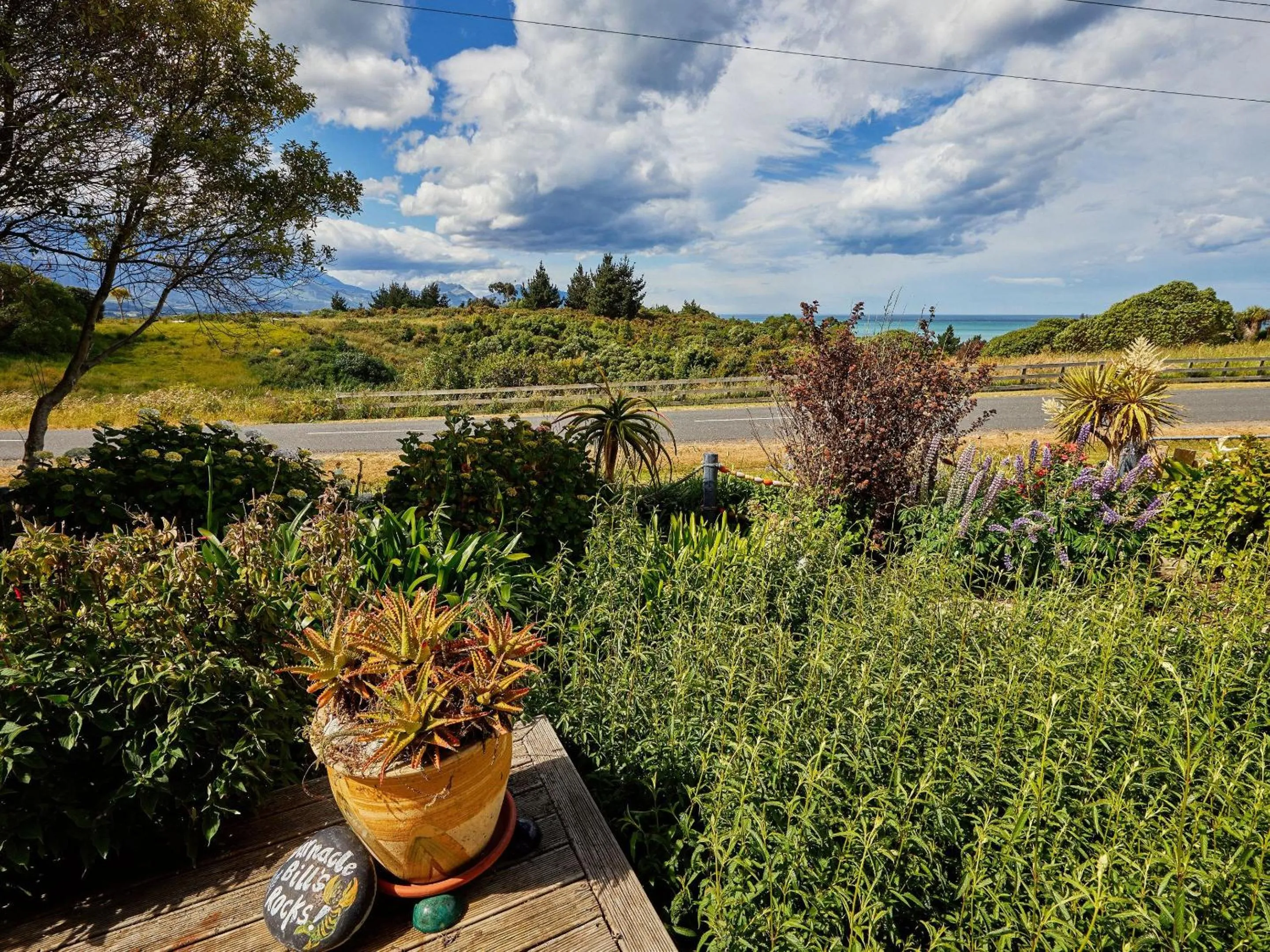 Natural landscape in Barnacle Bills