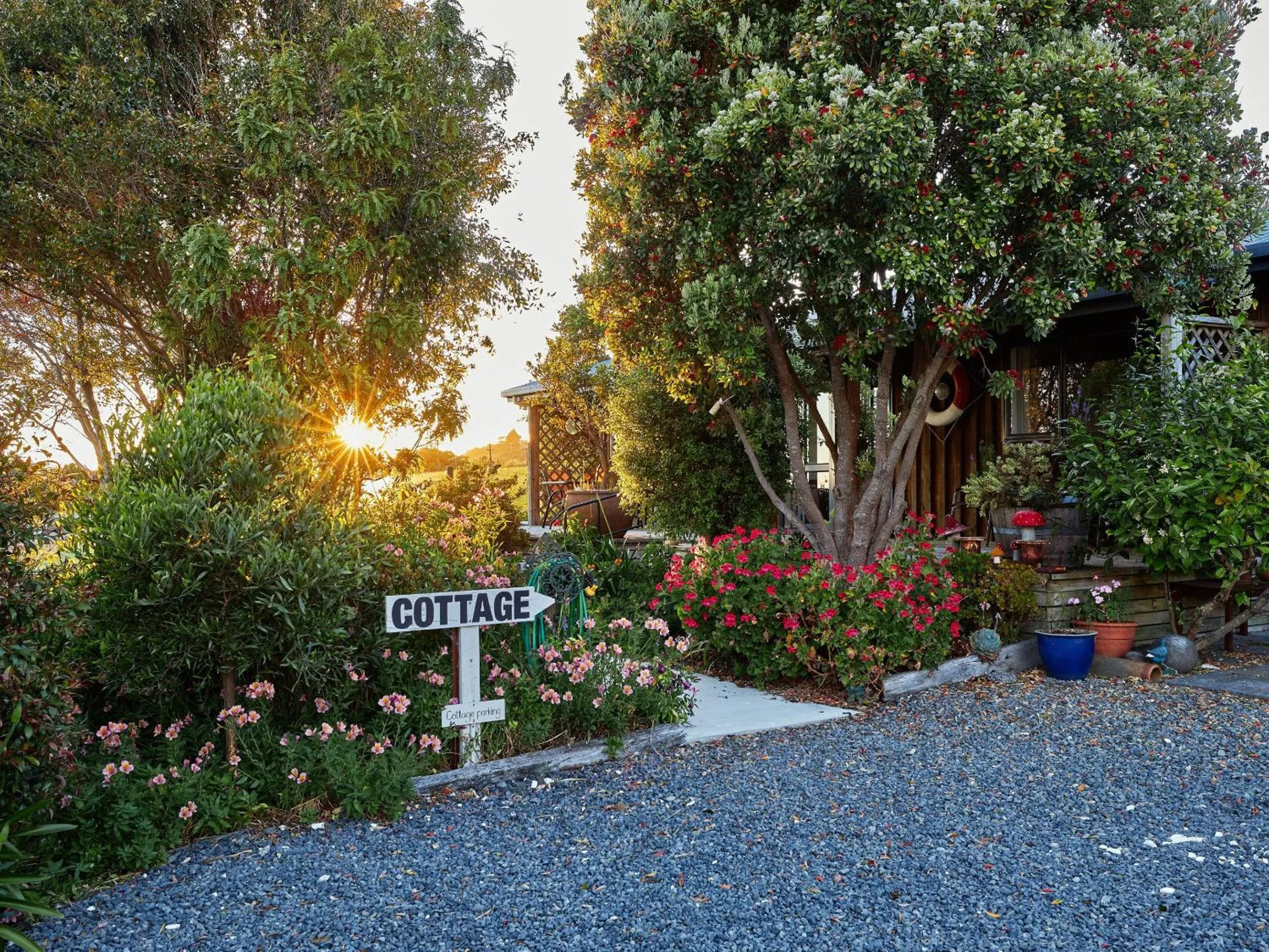 Garden in Barnacle Bills