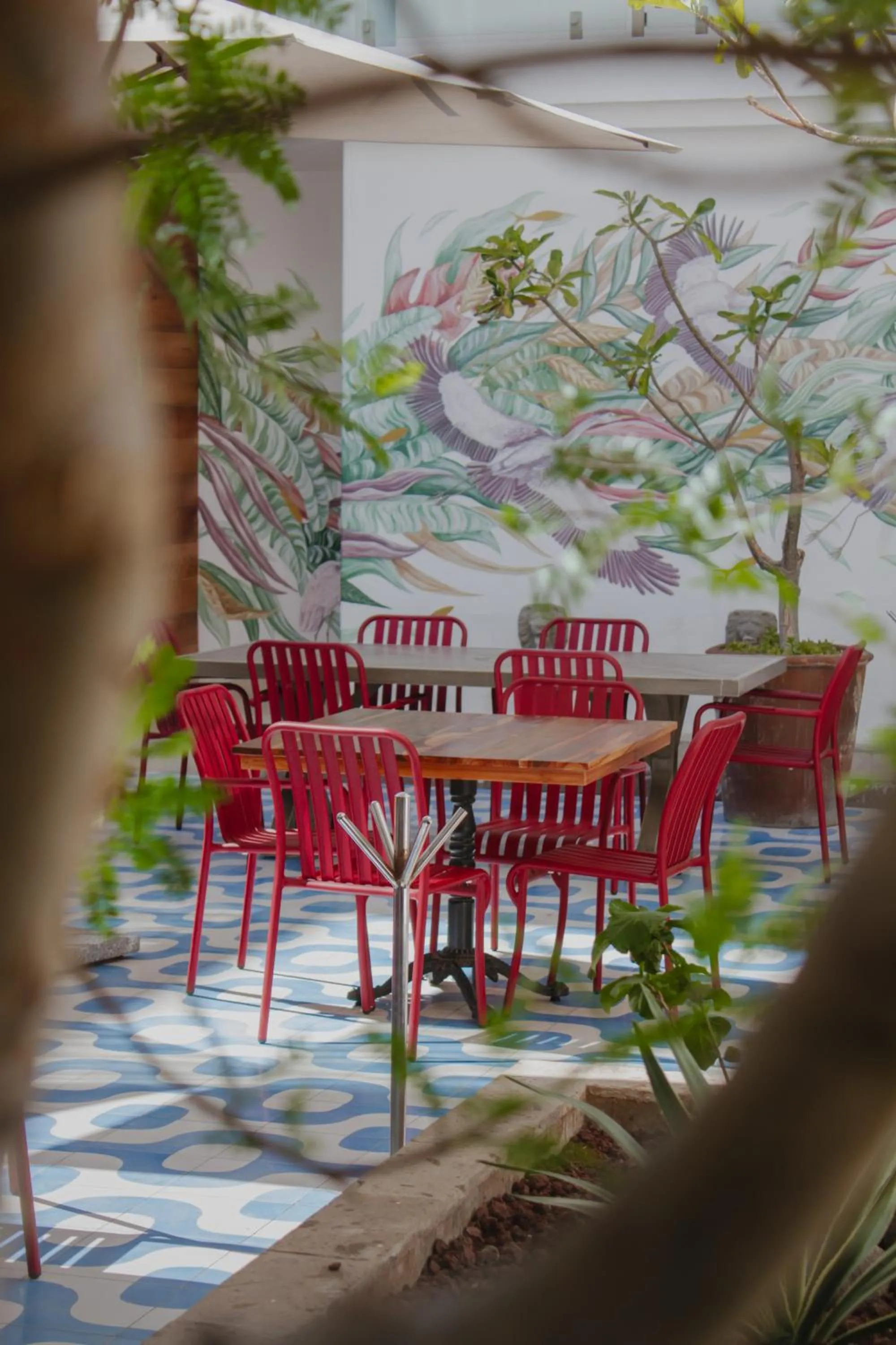 Patio in Hotel Catedral La Paz