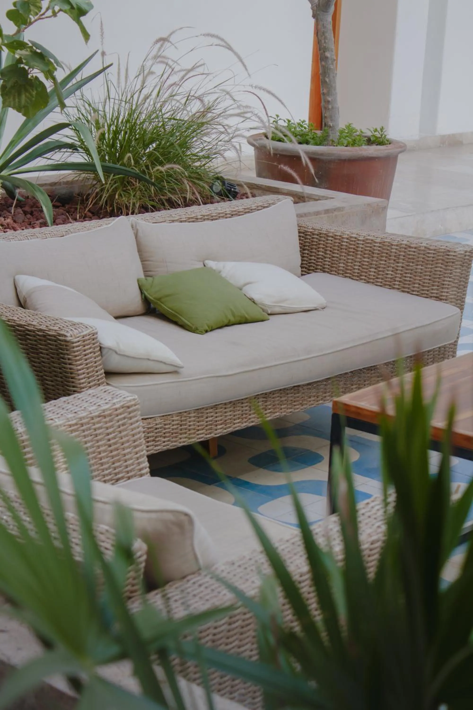 Patio in Hotel Catedral La Paz